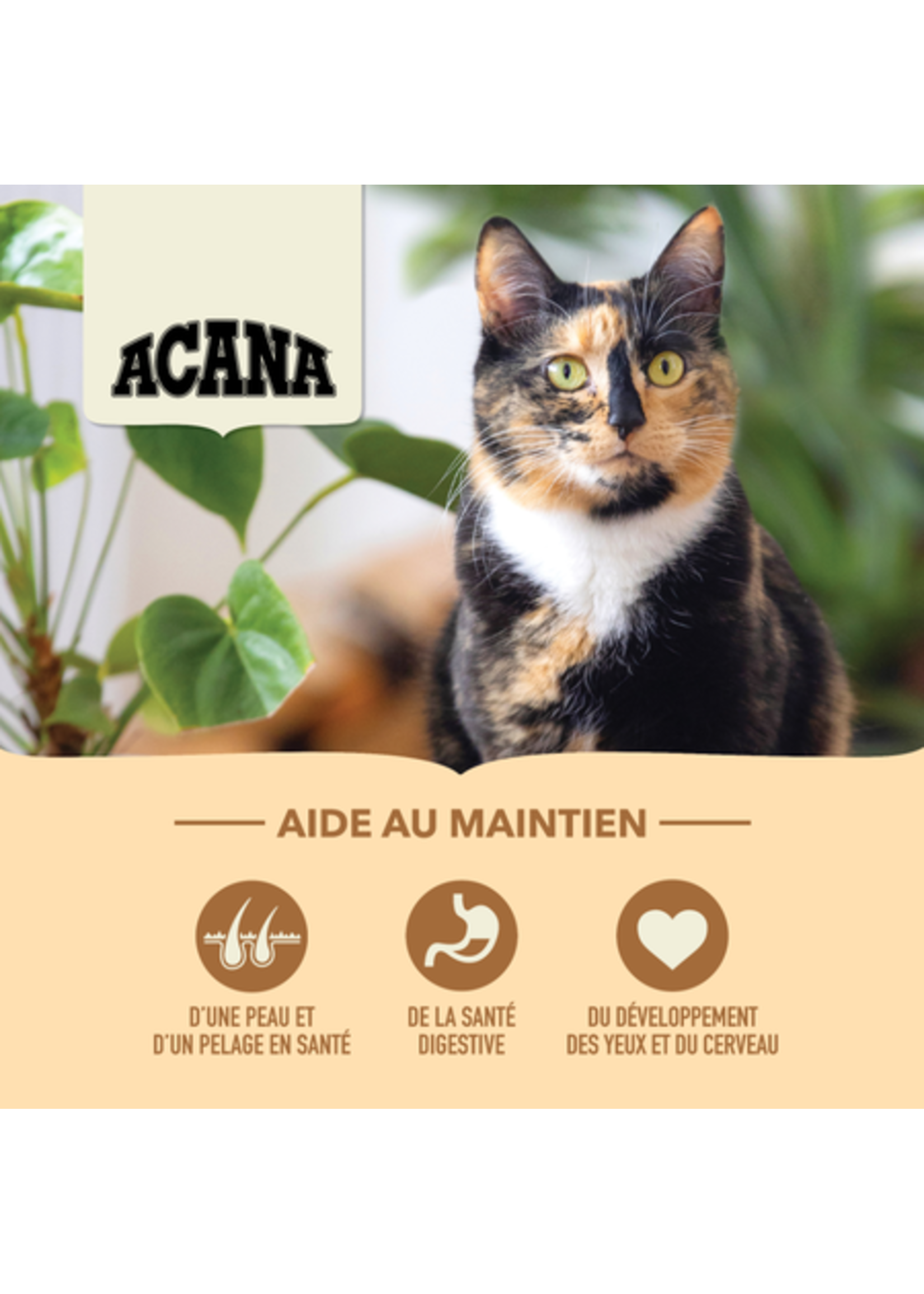ACANA ACANA CHAT RECOLTE DU TERROIR