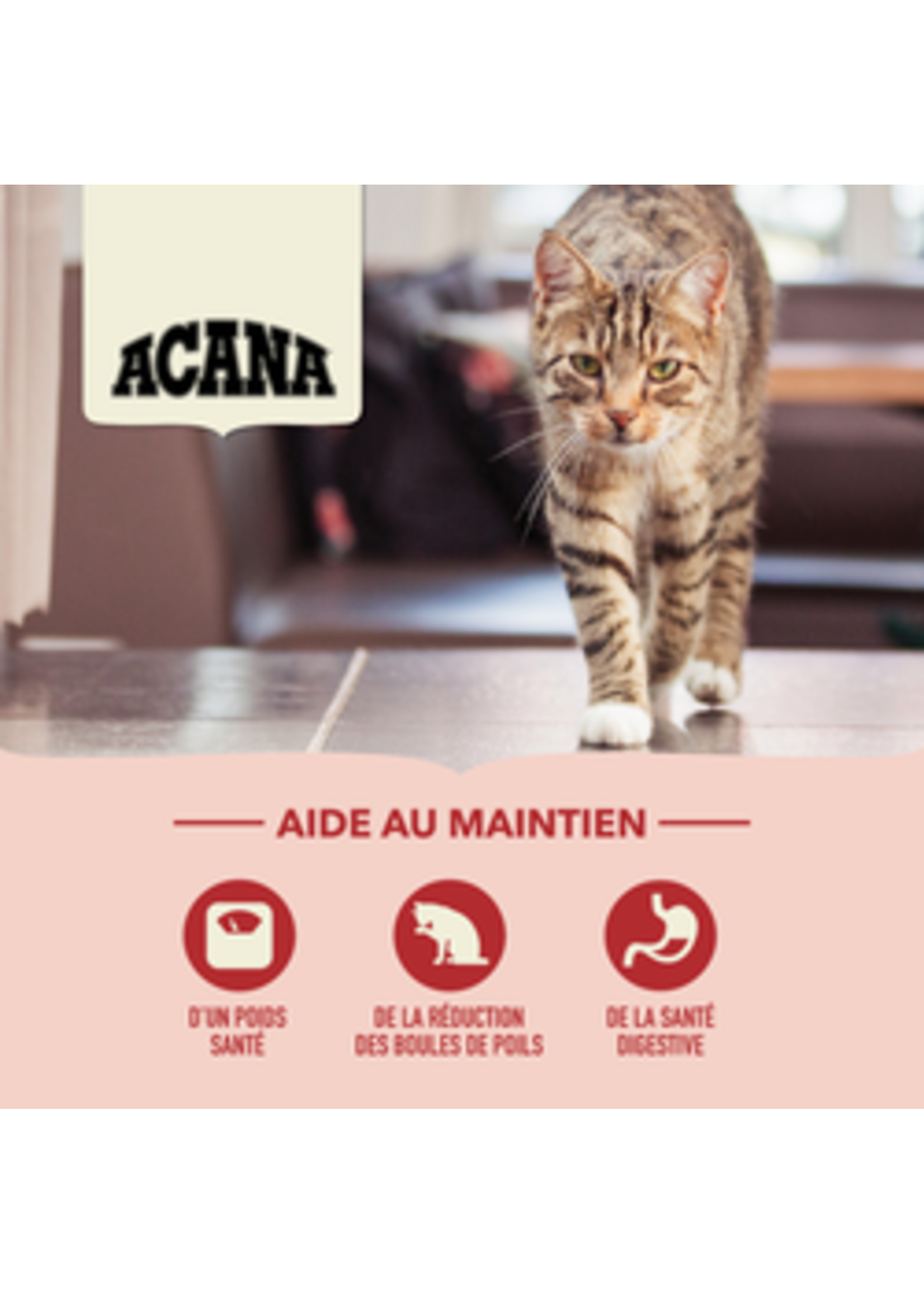 ACANA ACANA CHAT REGAL D INTERIEUR
