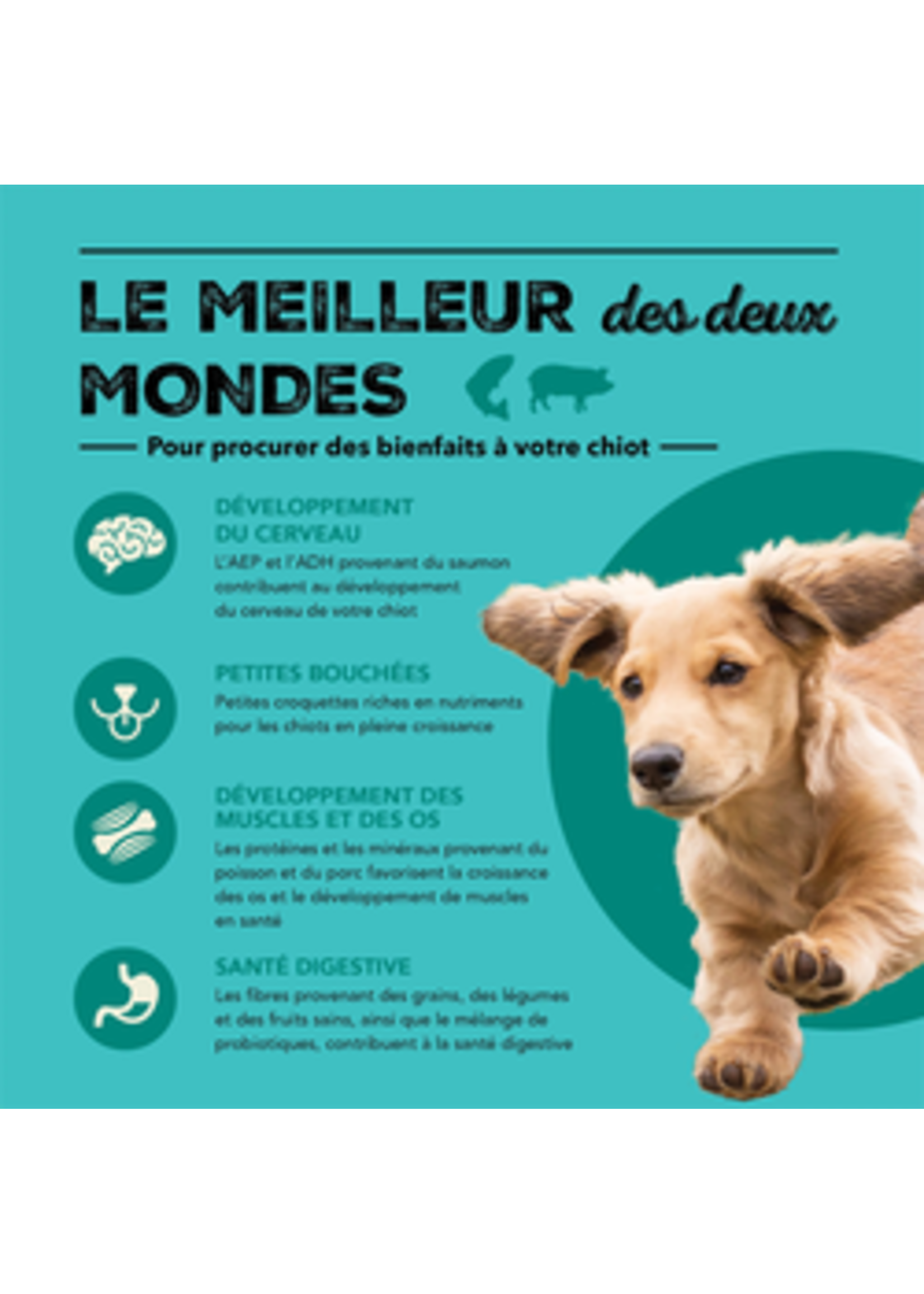 ACANA ACANA CHIOT RECETTE MER ET CHAMPS