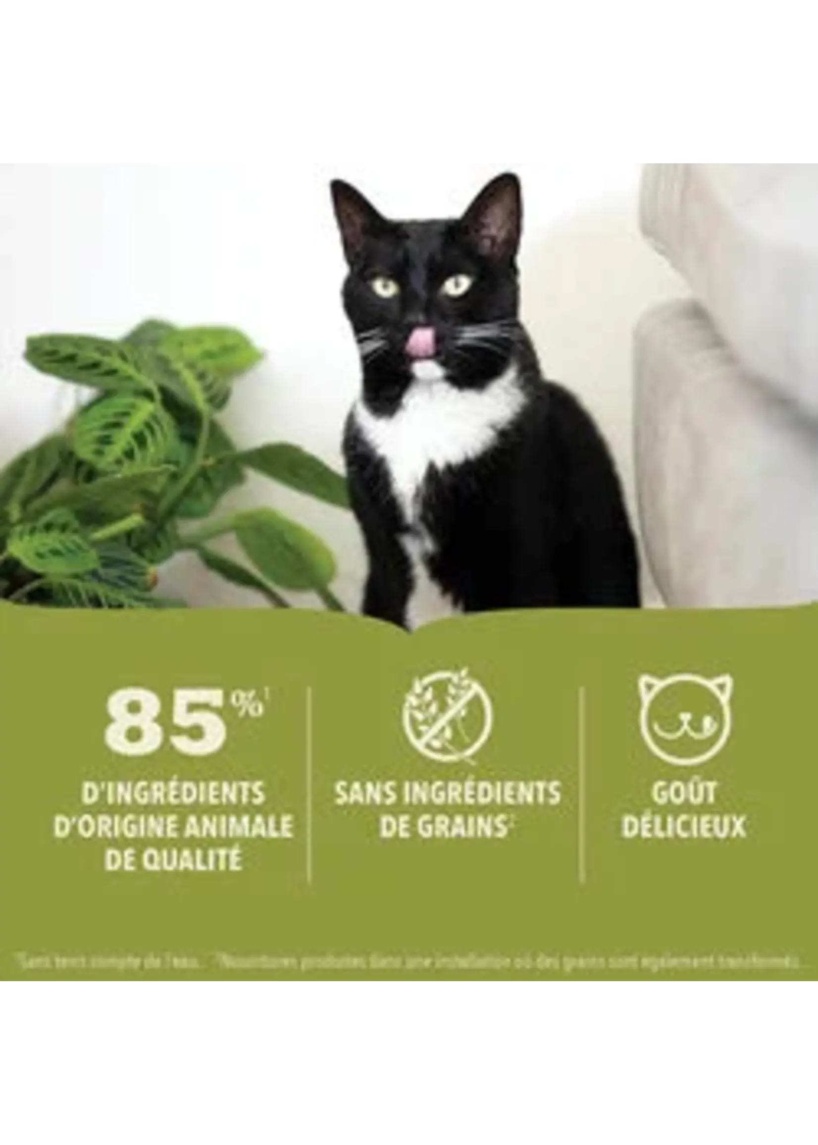 ACANA ACANA NOURRITURE HUMIDE CHAT AU BOEUF EN PATÉ AVEC BOUILLON