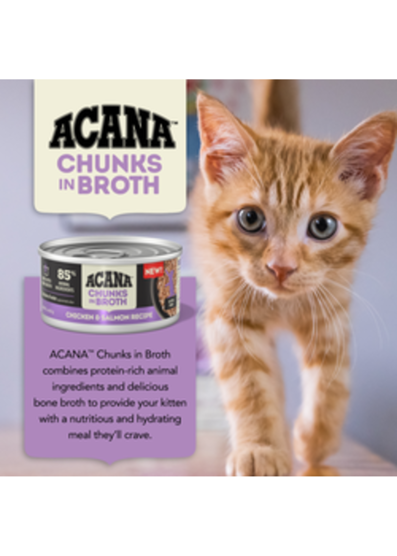 ACANA ACANA NOURRITURE HUMIDE CHATON AU POULET ET SAUMON EN MORCEAUX 155G