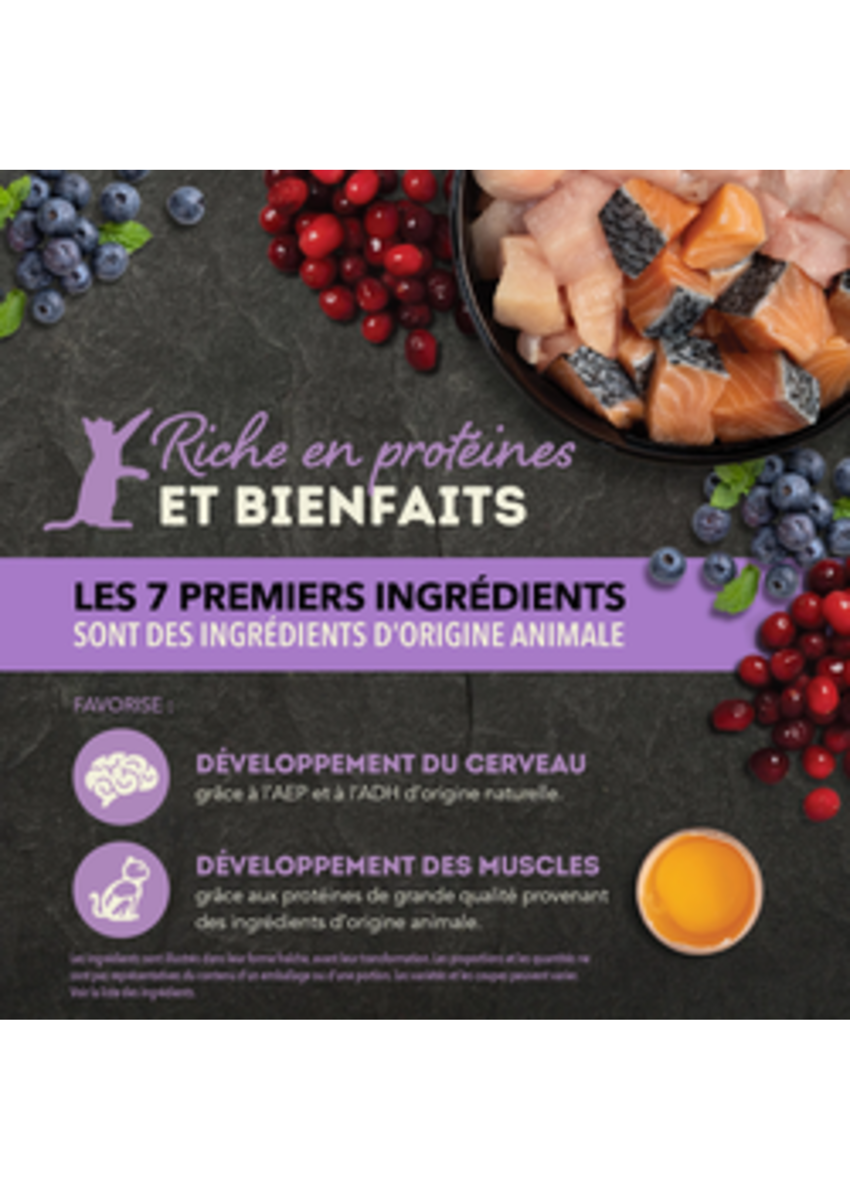 ACANA ACANA NOURRITURE HUMIDE CHATON AU POULET ET SAUMON EN MORCEAUX 155G