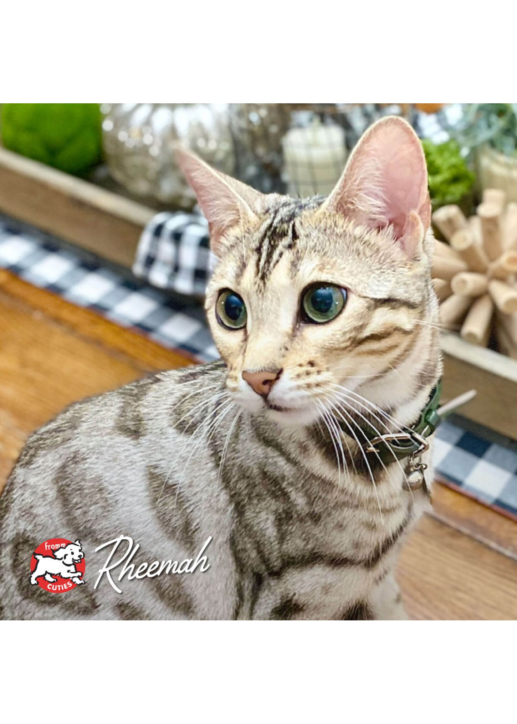 FROMM FROMM CHAT FOUR STAR HASEN DUCKENPFEFFER SANS GRAINS