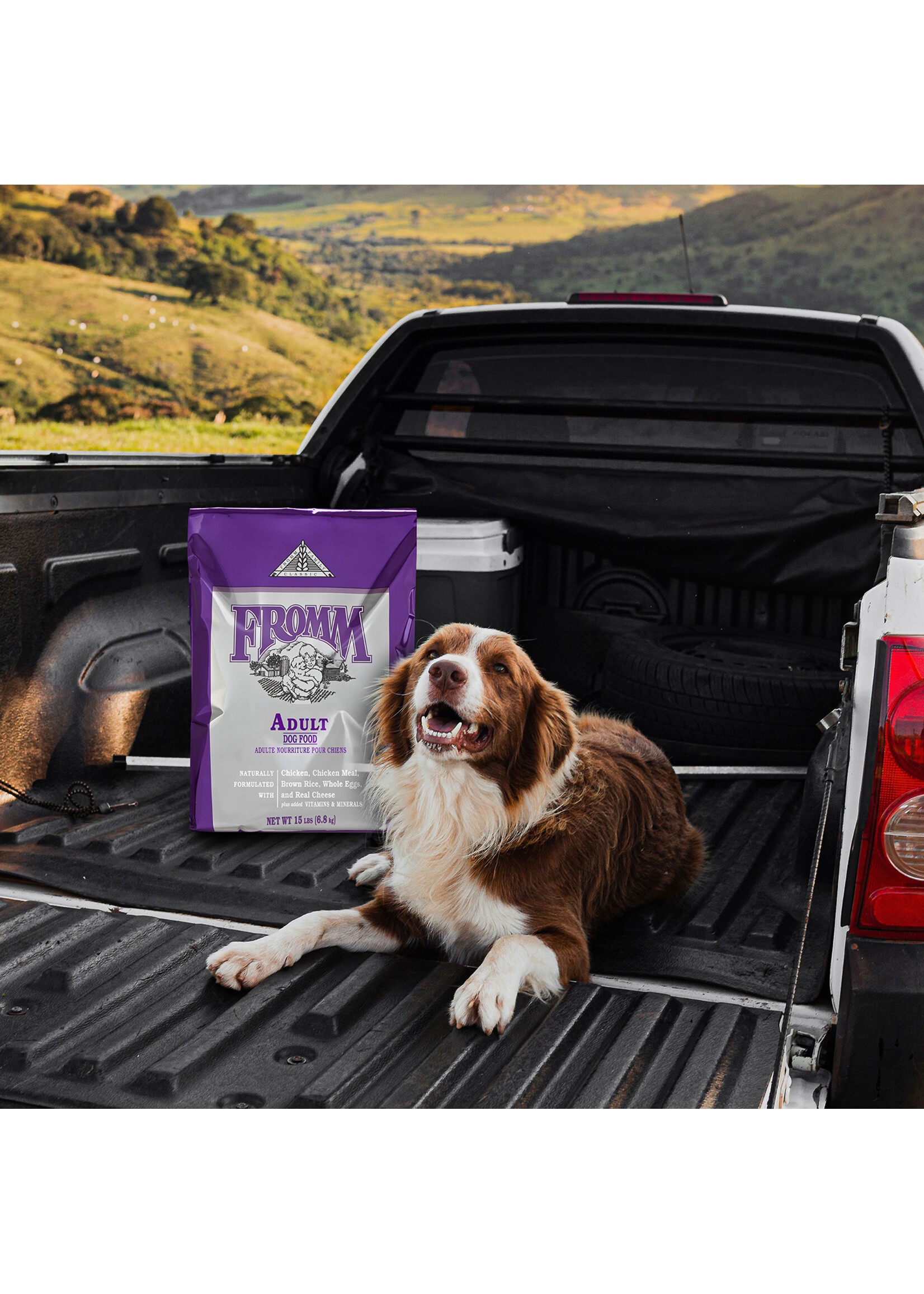 FROMM FROMM CHIEN CLASSIC 13.6KG