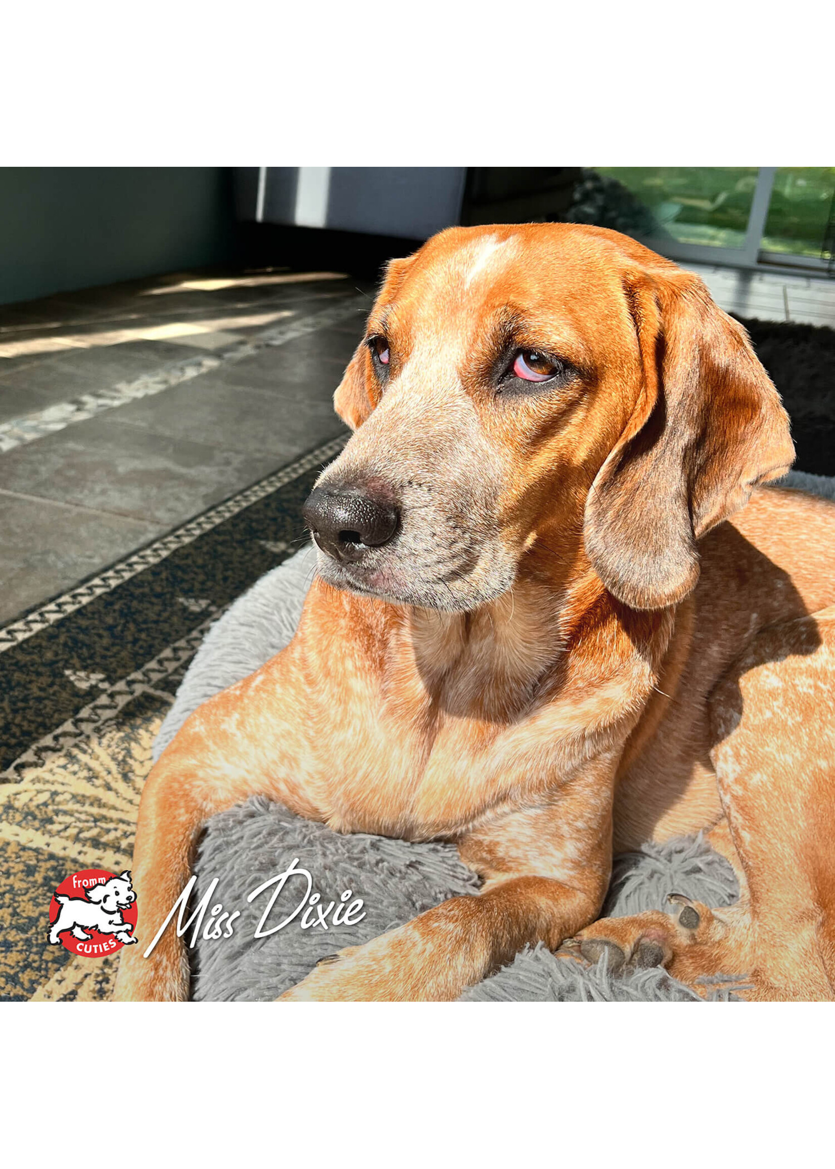 FROMM FROMM CHIEN FOUR STAR HASEN DUCKENPFEFFER SANS GRAINS