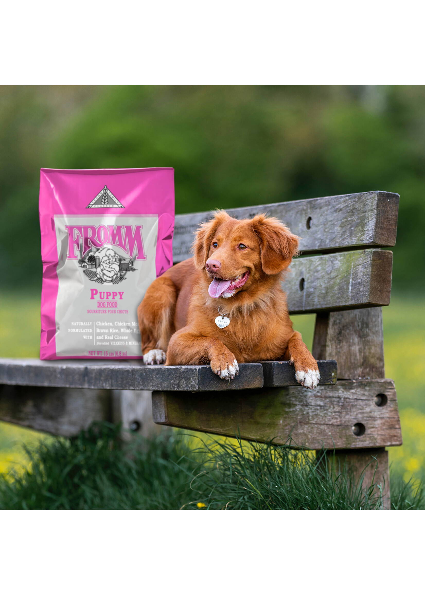 FROMM FROMM CHIOT CLASSIC 13.6KG