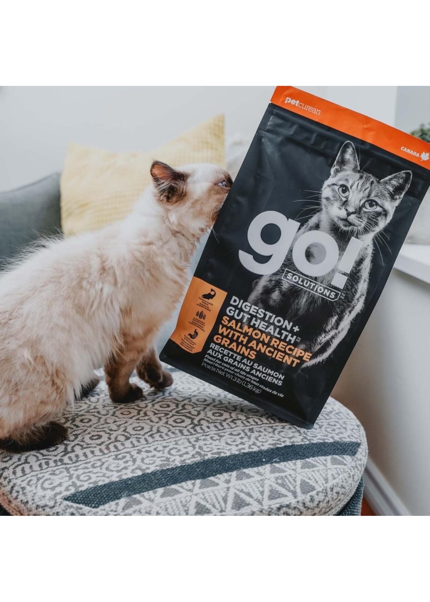 GO! SOLUTIONS GO SOLUTION CHAT DIGESTION ET SANTÉ INTESTINALE GRAINS ANCIENS AU SAUMON