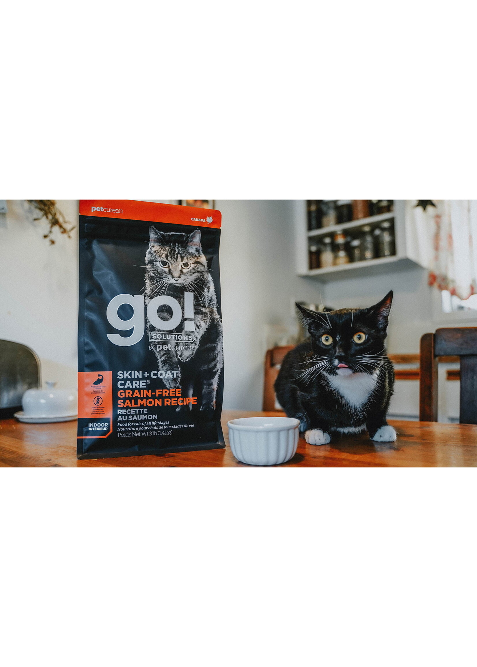 GO! SOLUTIONS GO SOLUTION CHAT PEAU ET PELAGE AU SAUMON SANS GRAINS