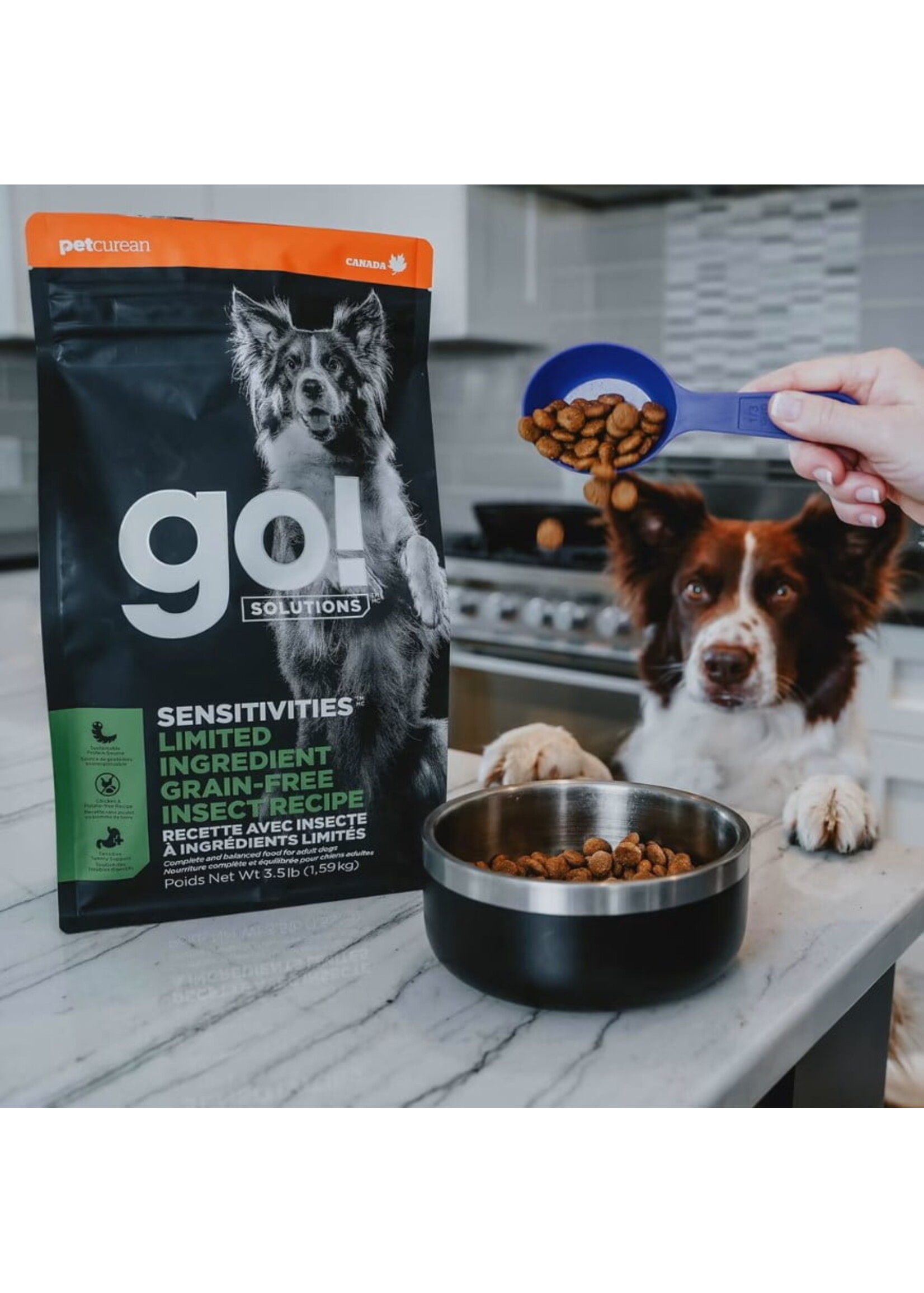 GO! SOLUTIONS GO SOLUTION CHIEN AU INSECTE SANS GRAINS