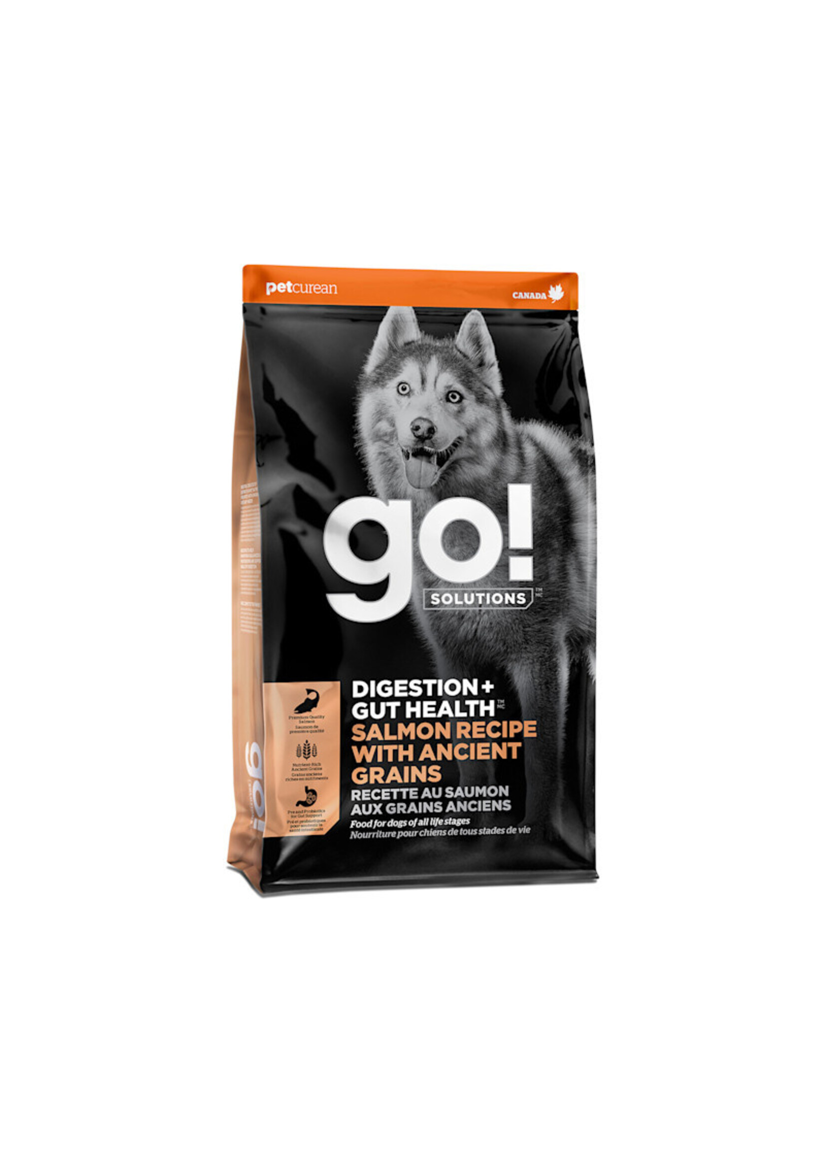 GO! SOLUTIONS GO SOLUTION CHIEN DIGESTION ET SANTÉ INTESTINALE GRAINS ANCIENS AU SAUMON
