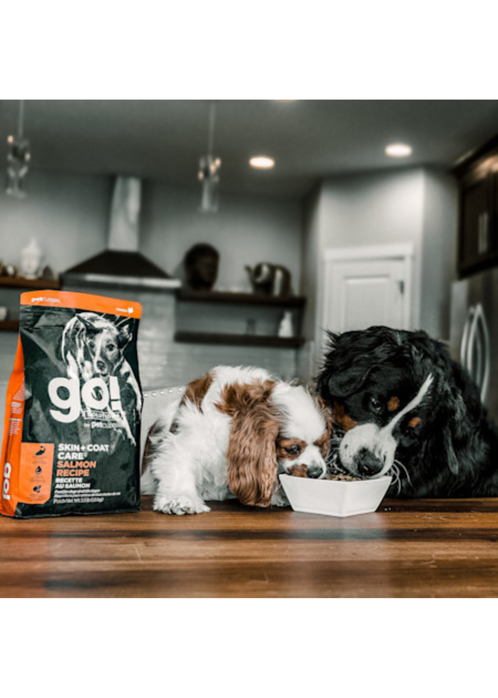 GO! SOLUTIONS GO SOLUTION CHIEN PEAU ET PELAGE AU SAUMON