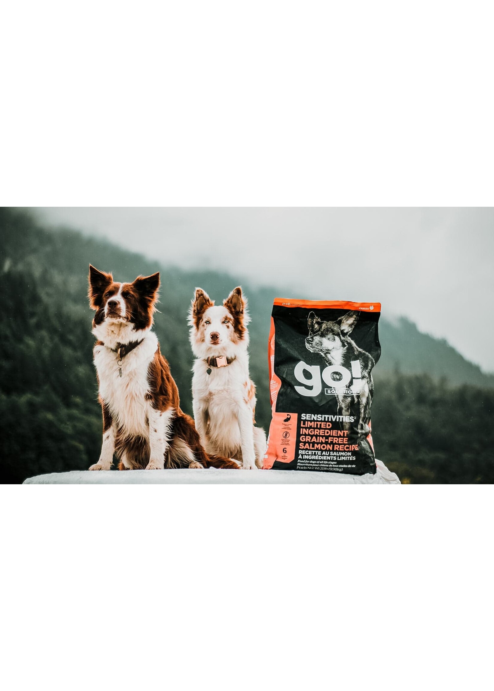 GO! SOLUTIONS GO! SOLUTION CHIEN SENSITIVE SAUMON SG