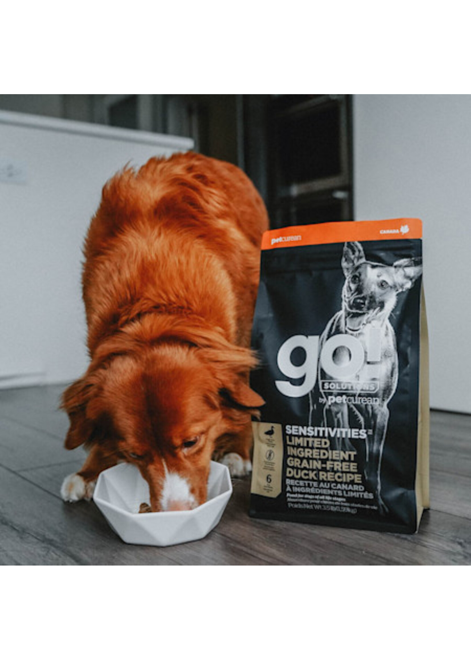 GO! SOLUTIONS GO SOLUTION SENSITIVE CHIEN AU CANARD SANS GRAINS