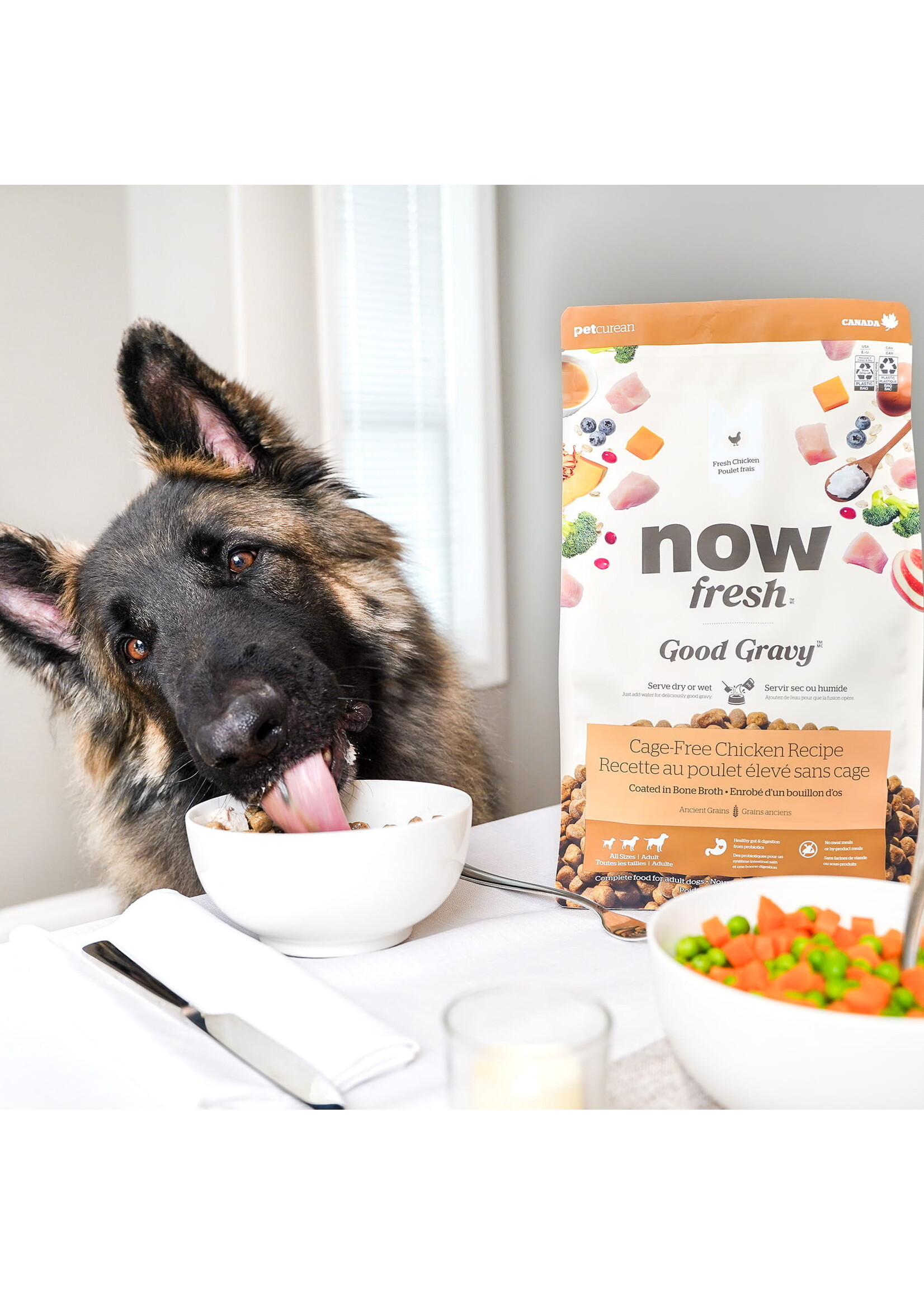 NOW FRESH NOW FRESH GRAVY GRAINS ANCIENS POUR CHIEN