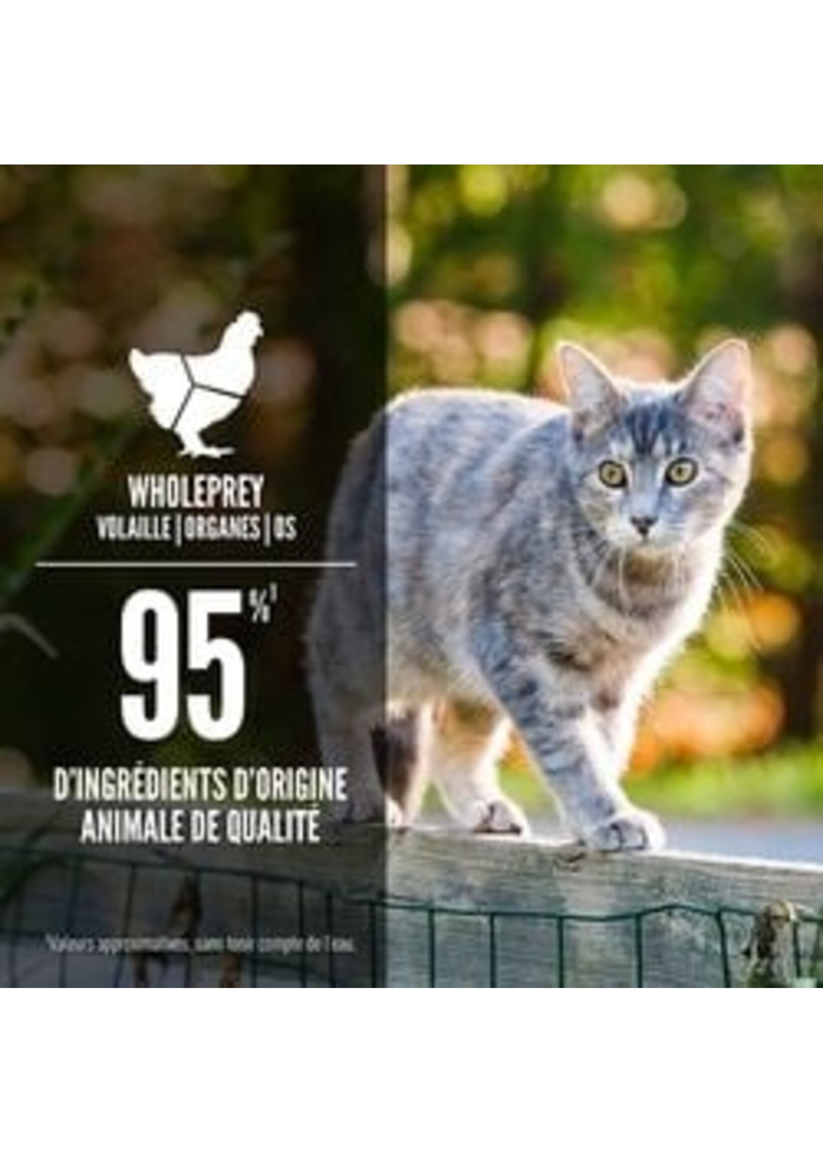 ORIJEN ORIJEN NOURRITURE HUMIDE CHAT REPAS ORIGINALE EN MORCEAUX 155G