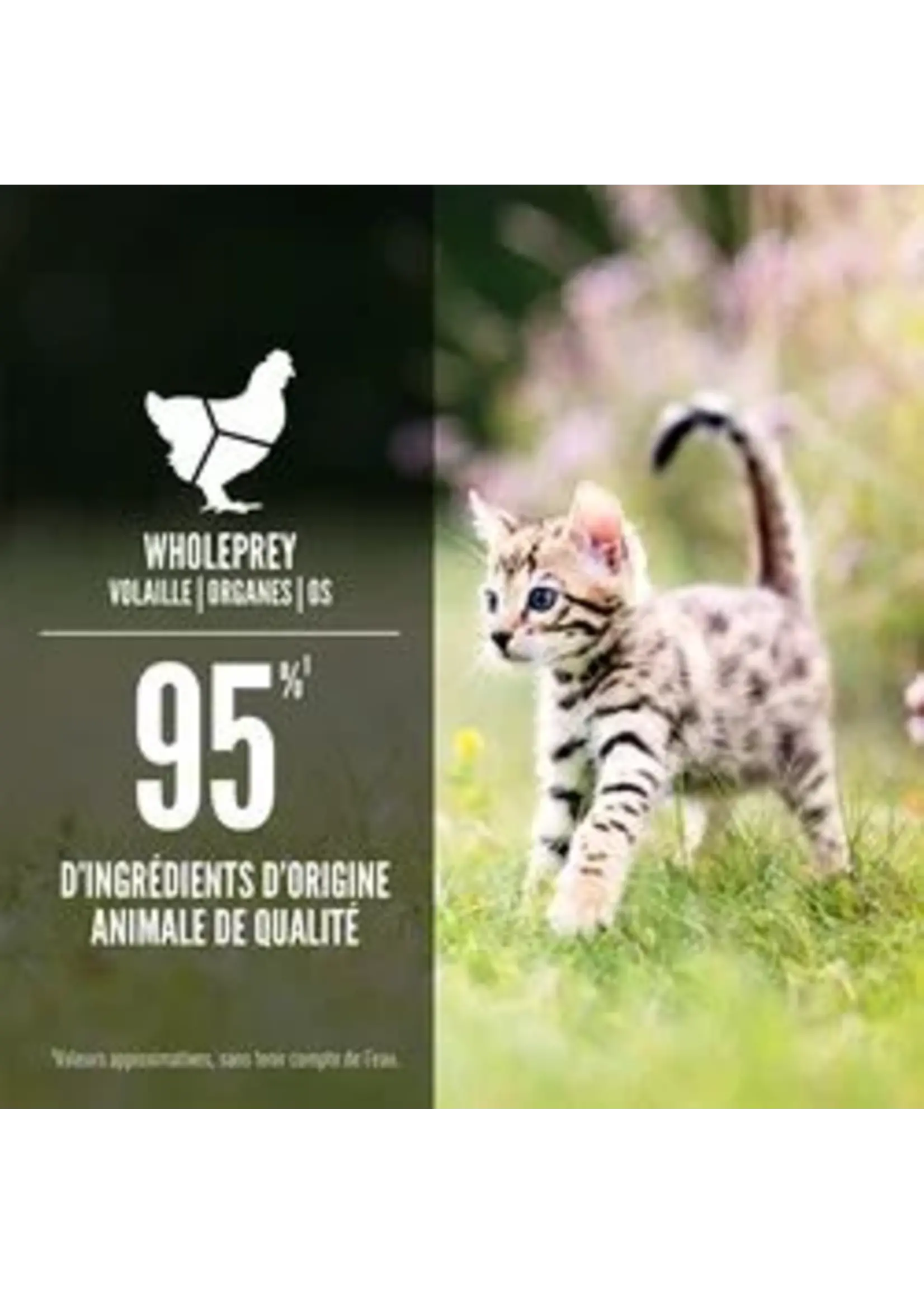 ORIJEN ORIJEN NOURRITURE HUMIDE CHATON  REPAS AU POULET ET SAUMON 155G