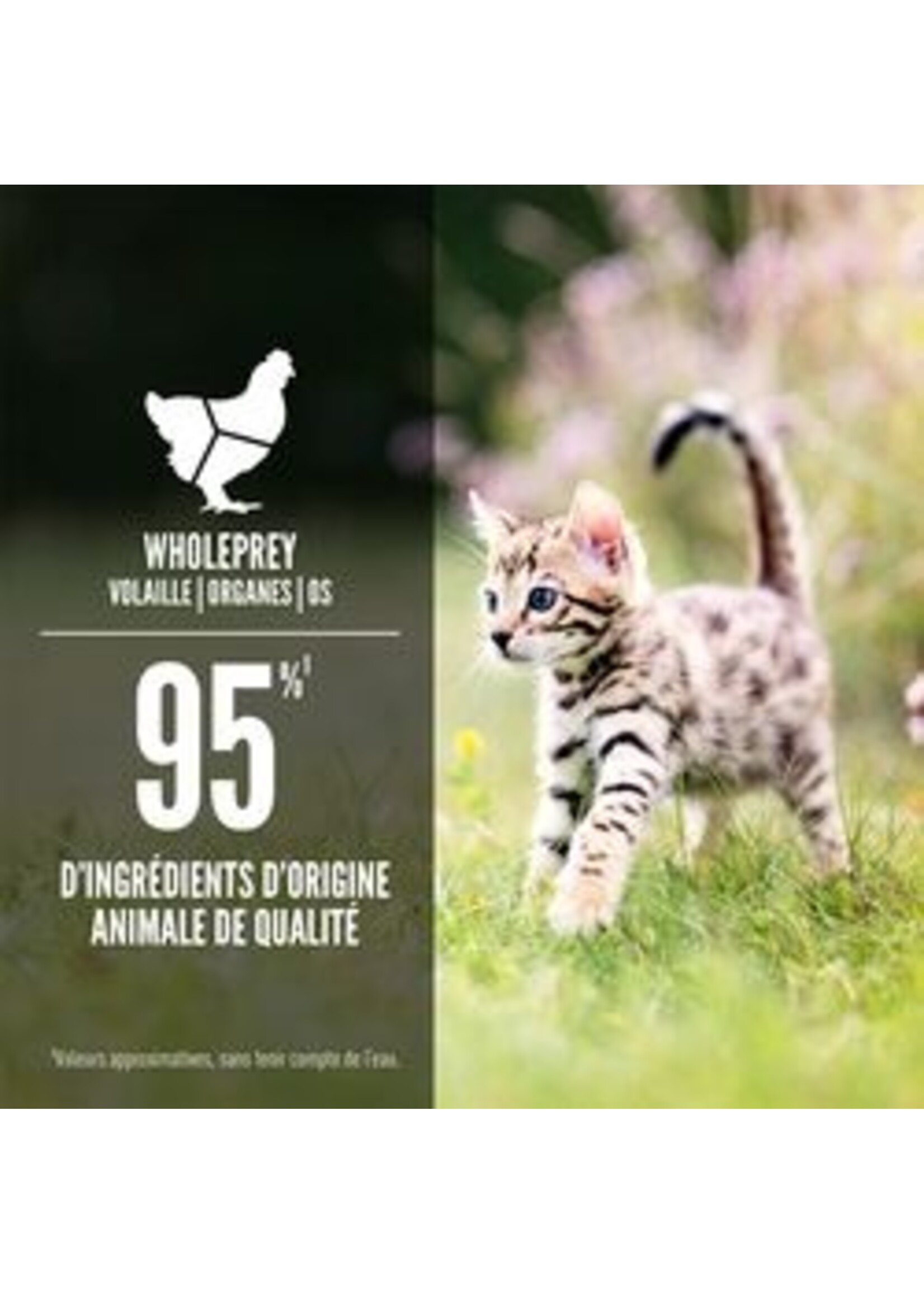 ORIJEN ORIJEN NOURRITURE HUMIDE CHATON REPAS AU POULET ET THON EN MORCEAUX 155G