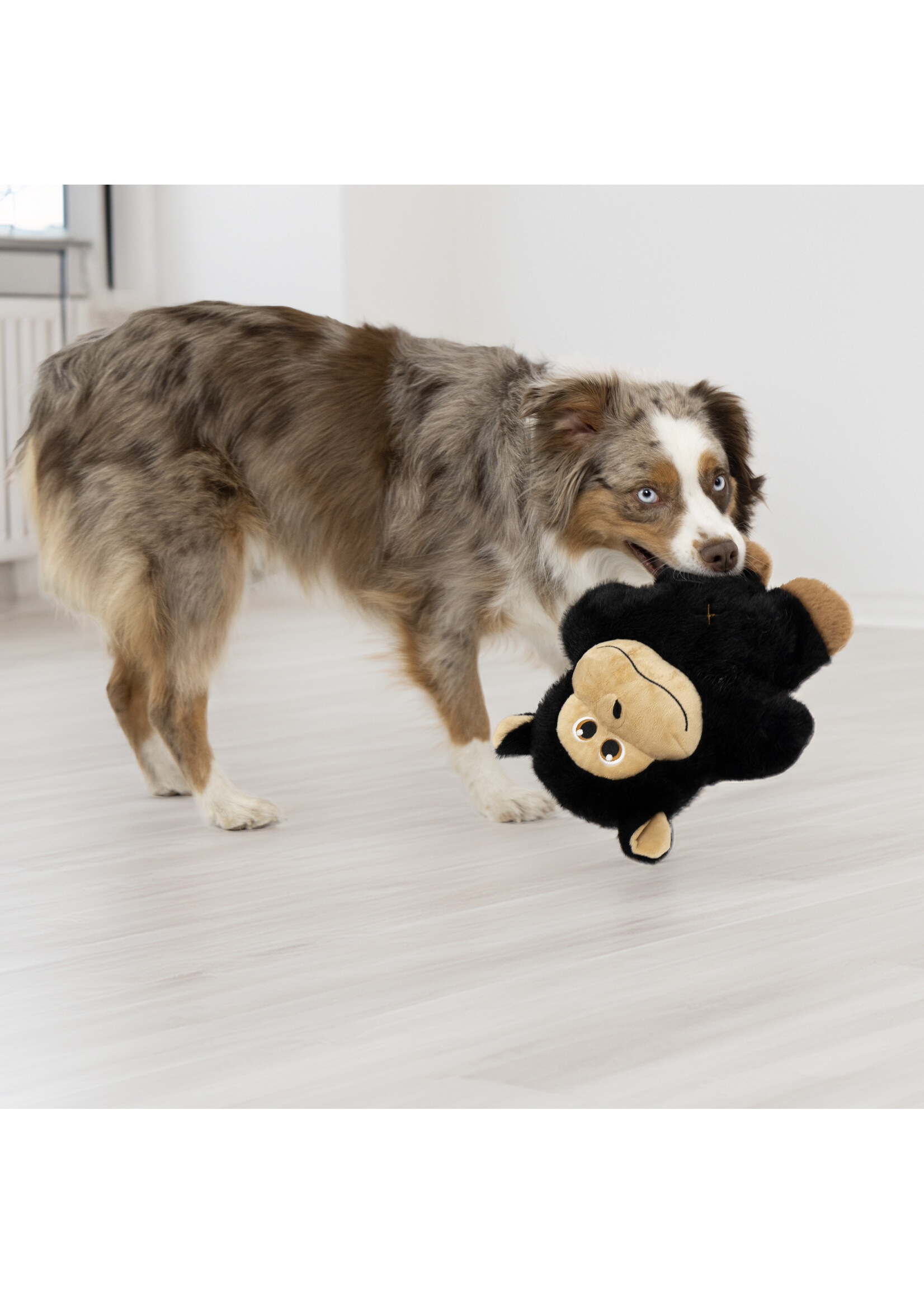 KONG KONG  POUR CHIEN SNUZZLES GORILLE TRES GRAND