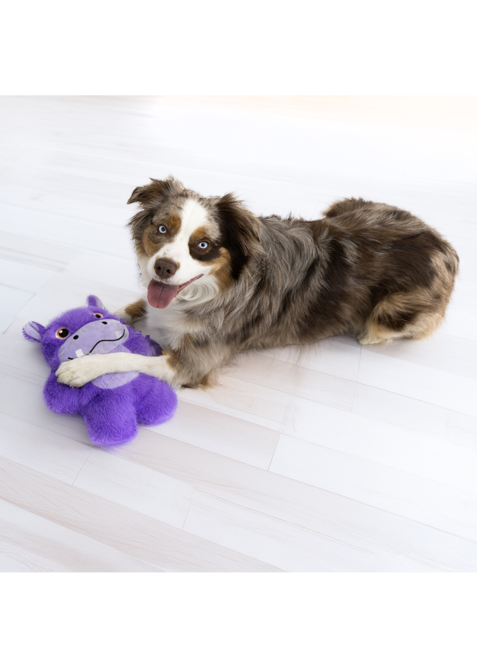 KONG KONG  POUR CHIEN SNUZZLES HIPPOPOTAME TRES GRAND