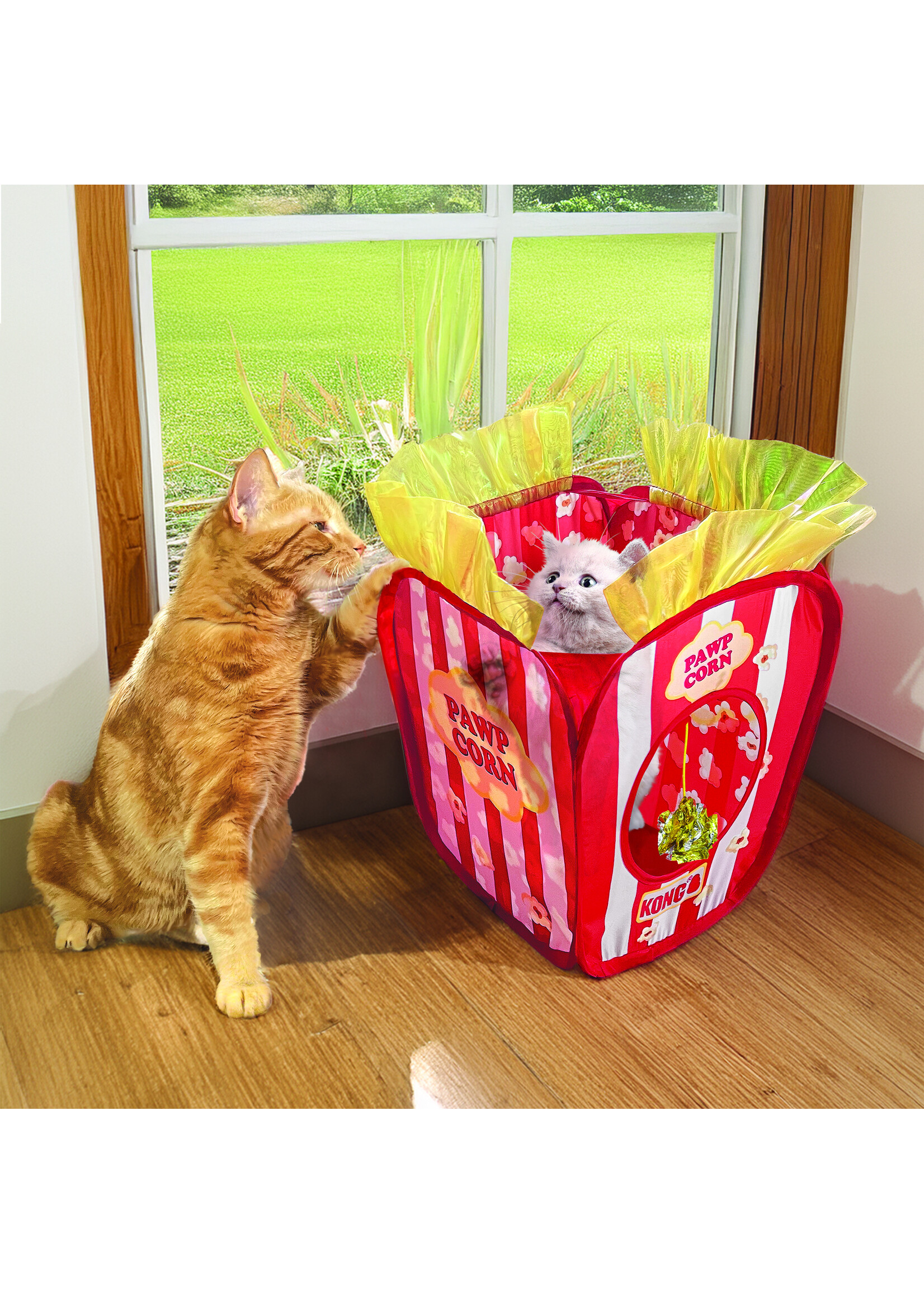 KONG KONG  POUR CHAT CACHETTE BOITE A POP CORN