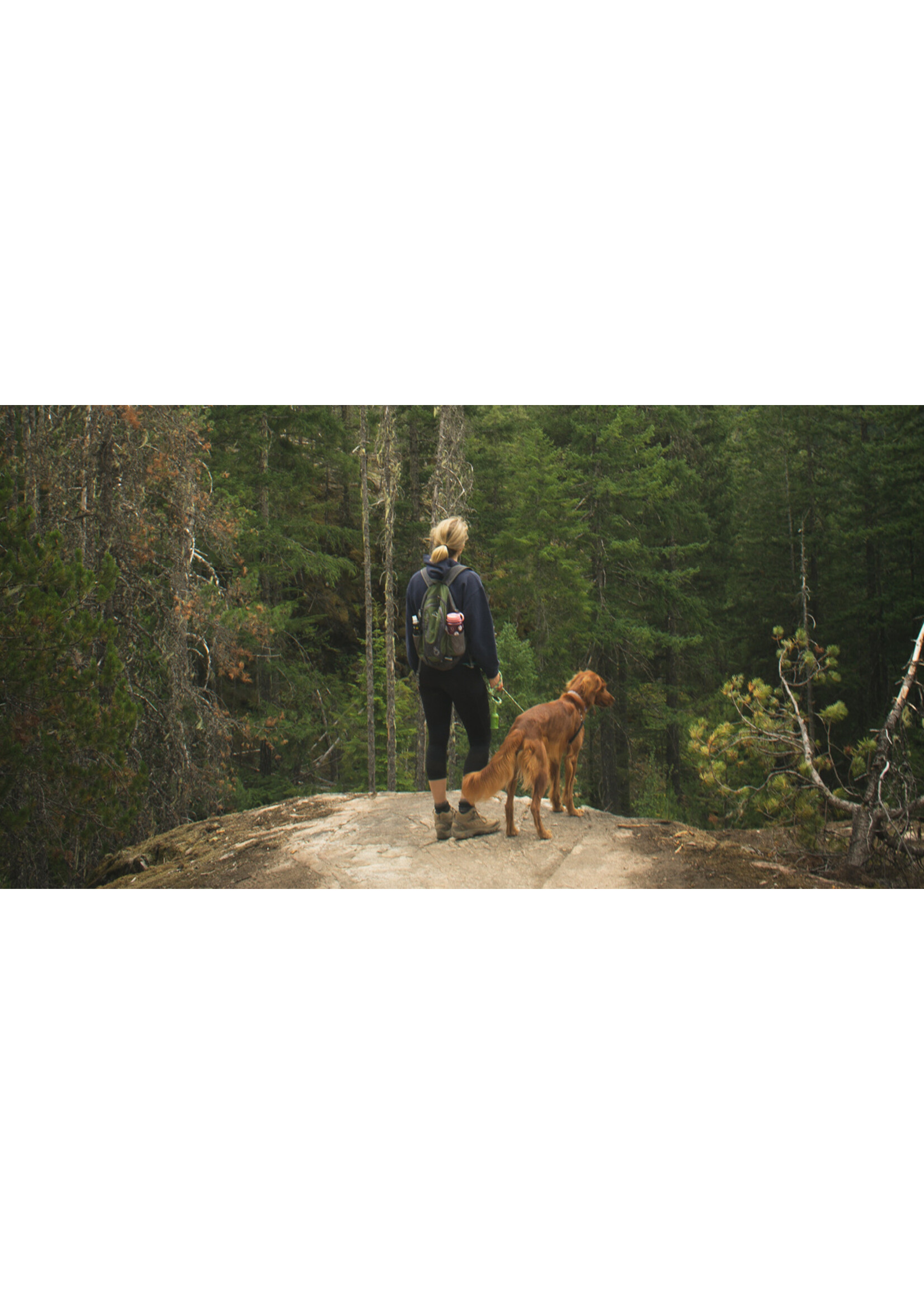 CITROBUG CITROBUG MOUSTIQUE 3.86L