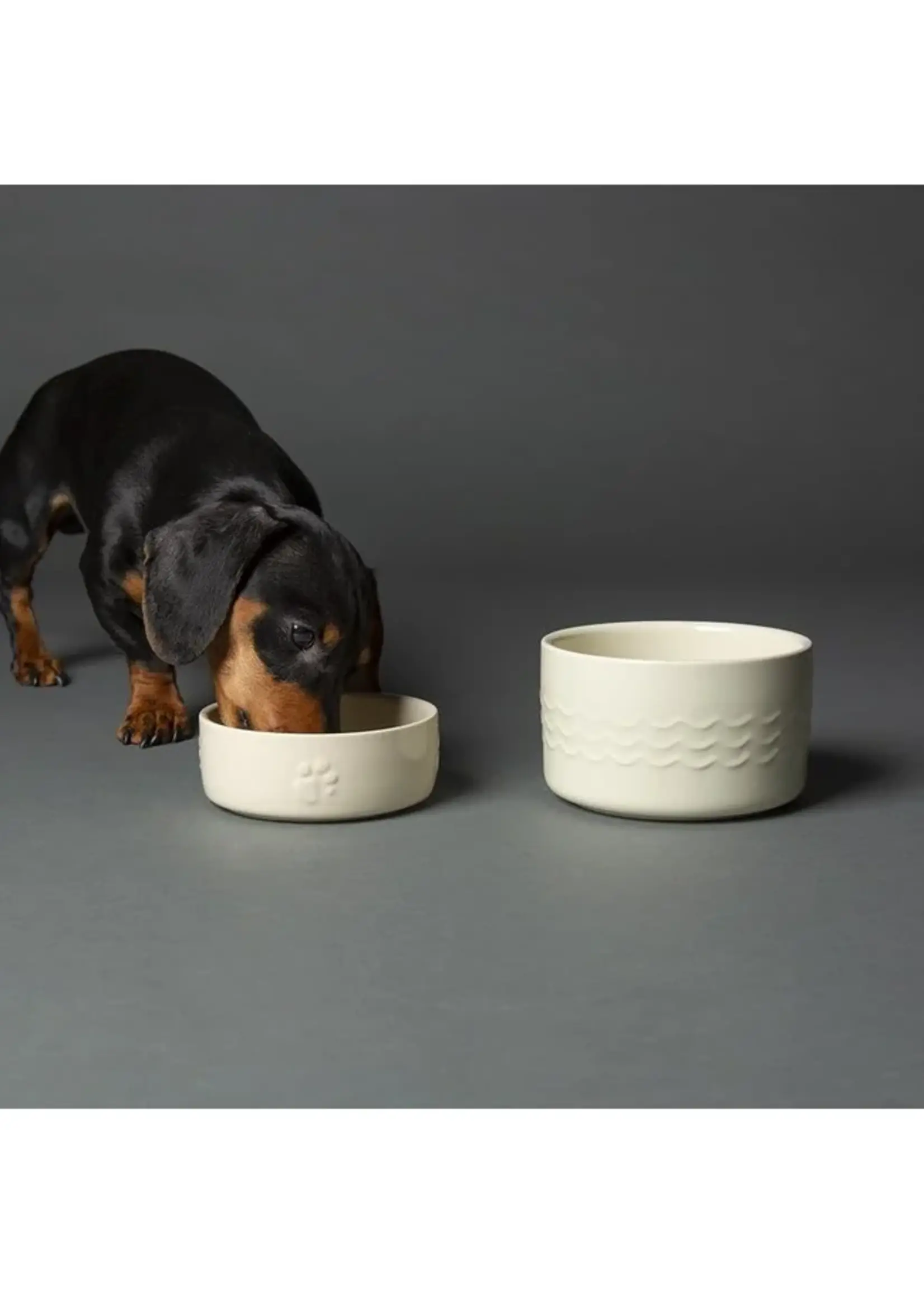 SCRUFFS BOL ICON GRIS PETIT ET MOYEN CHIEN 1L