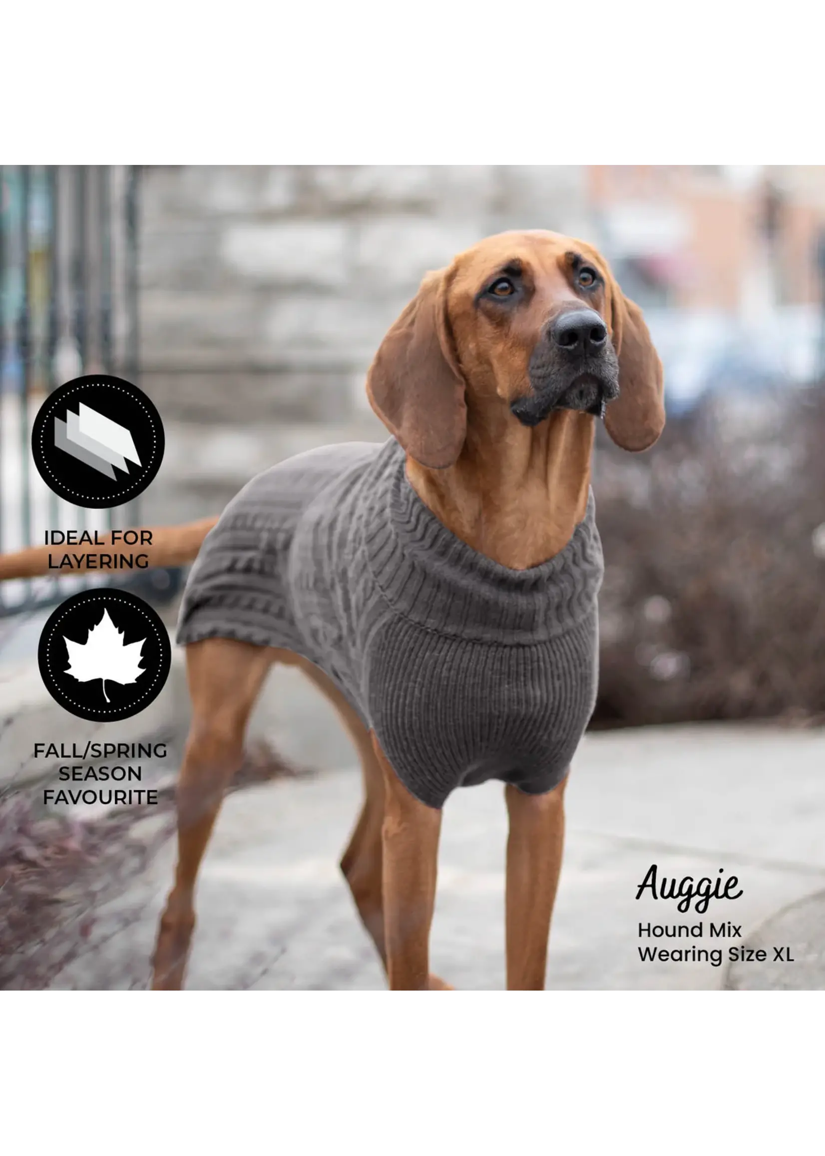 SHEDROW K9 BRENTWOOD TRICOT TORSADÉ PLUS GRIS