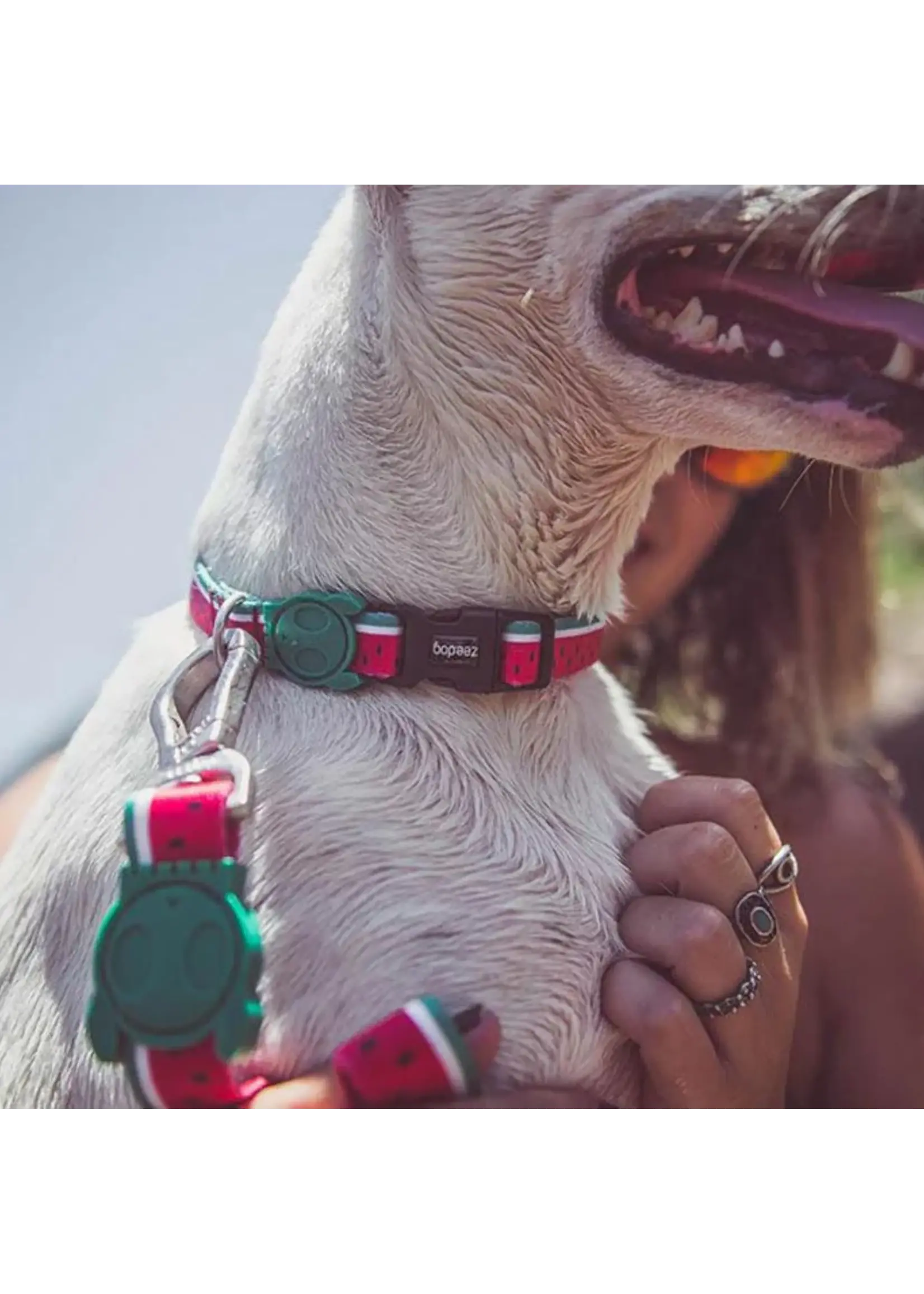 ZEE DOG COLLIER