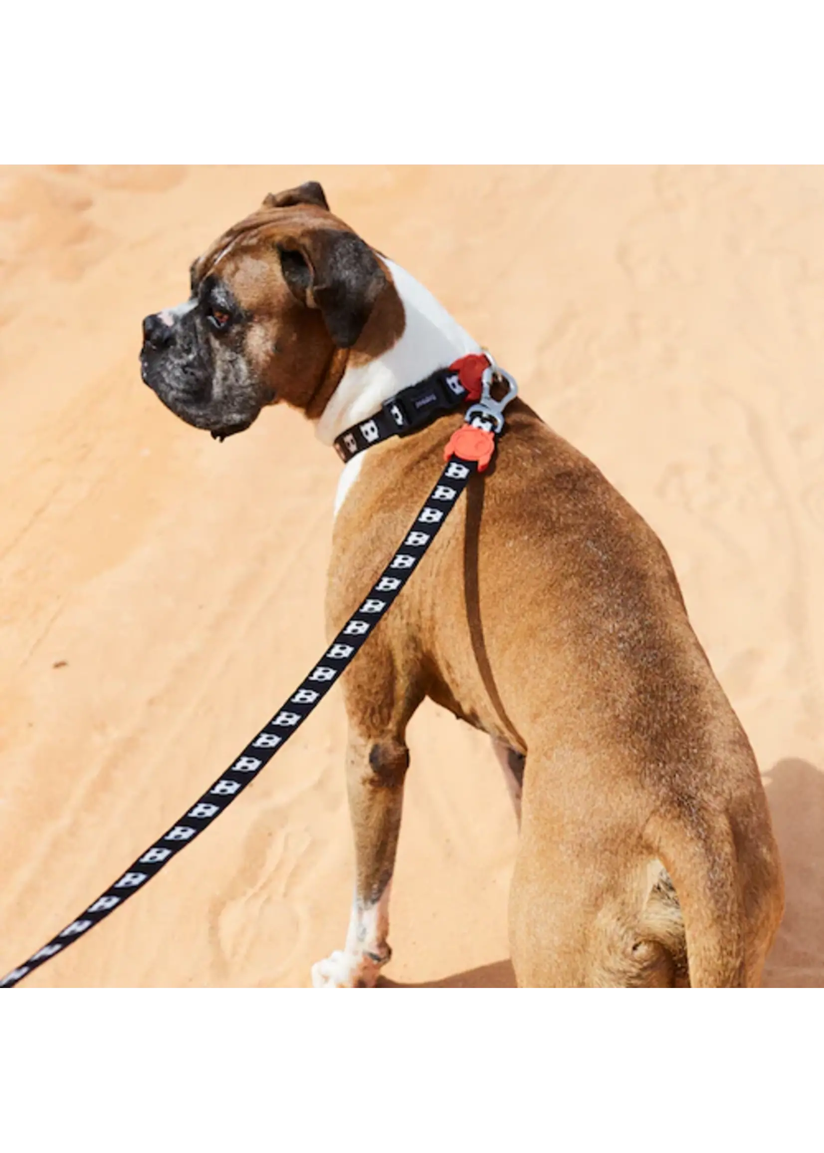 ZEE DOG COLLIER