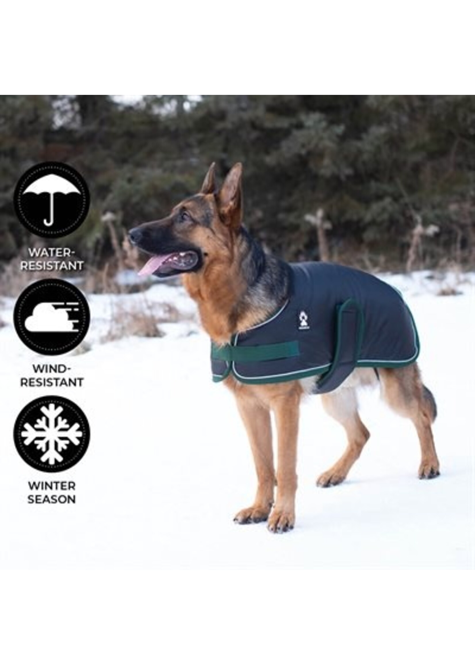 SHEDROW K9 MANTEAU POUR CHIEN VAIL