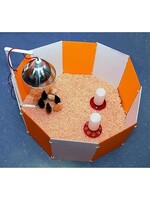 FARM INNOVATORS ENSEMBLE DE DÉMARRAGE POUR POUSSINS 10-18 X 12''