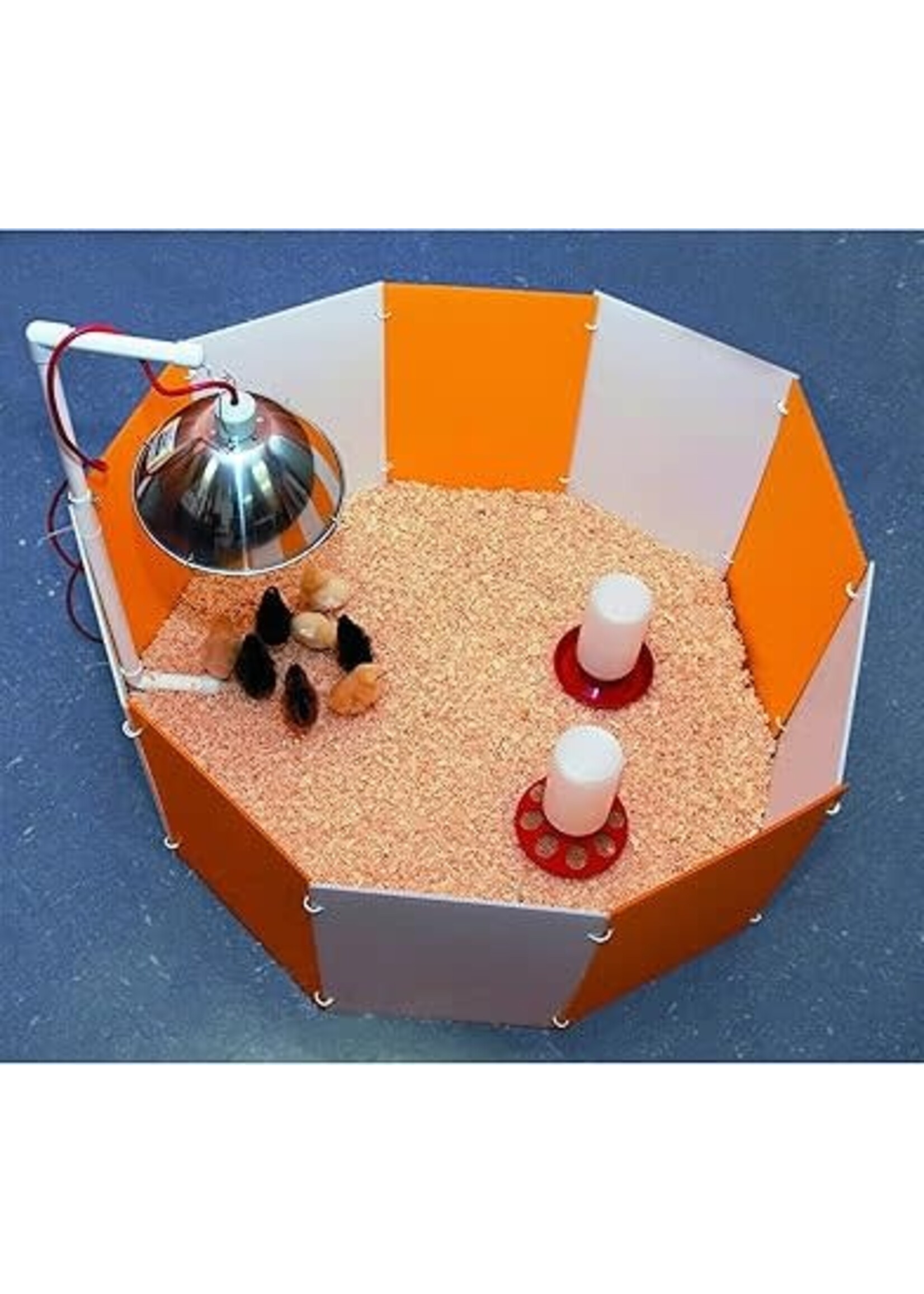 FARM INNOVATORS ENSEMBLE DE DÉMARRAGE POUR POUSSINS 10-18 X 12''