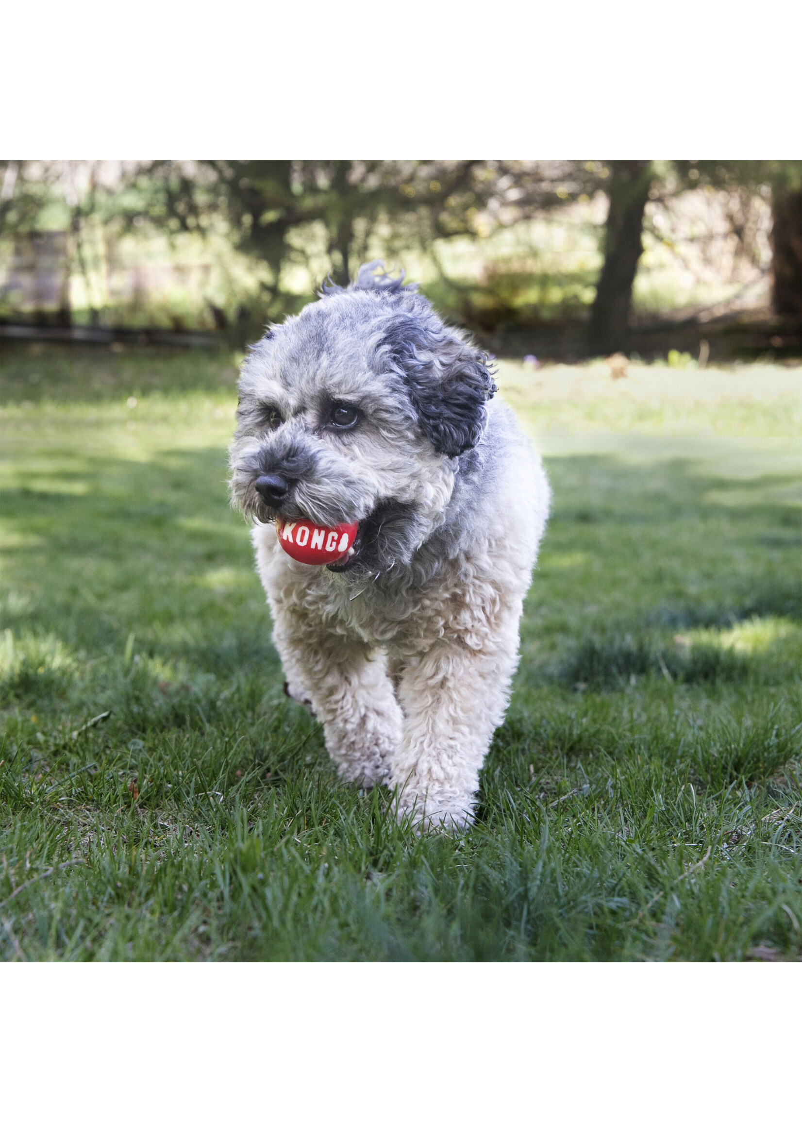 KONG KONG BALLE SIGNATURE PAQUET 2