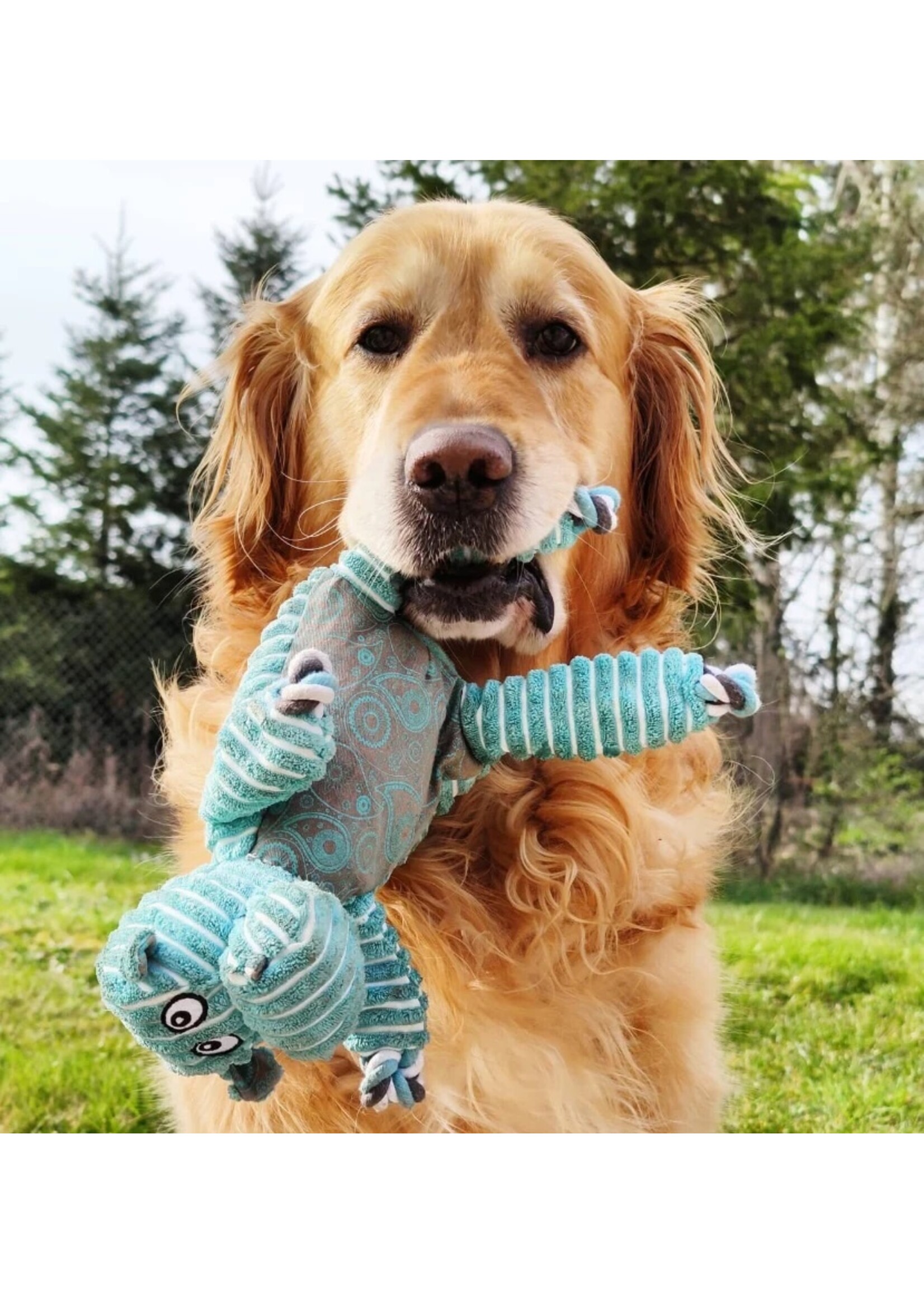 KONG KONG KONG FLOPPY KNOTS HIPPO