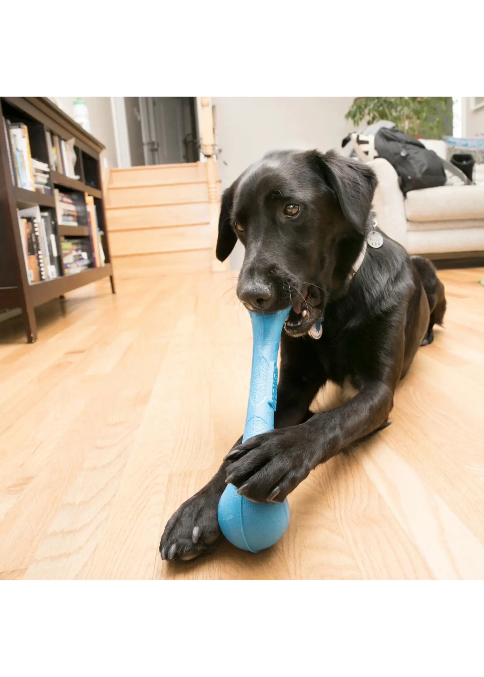 KONG KONG BATON SQUEAKSTIX