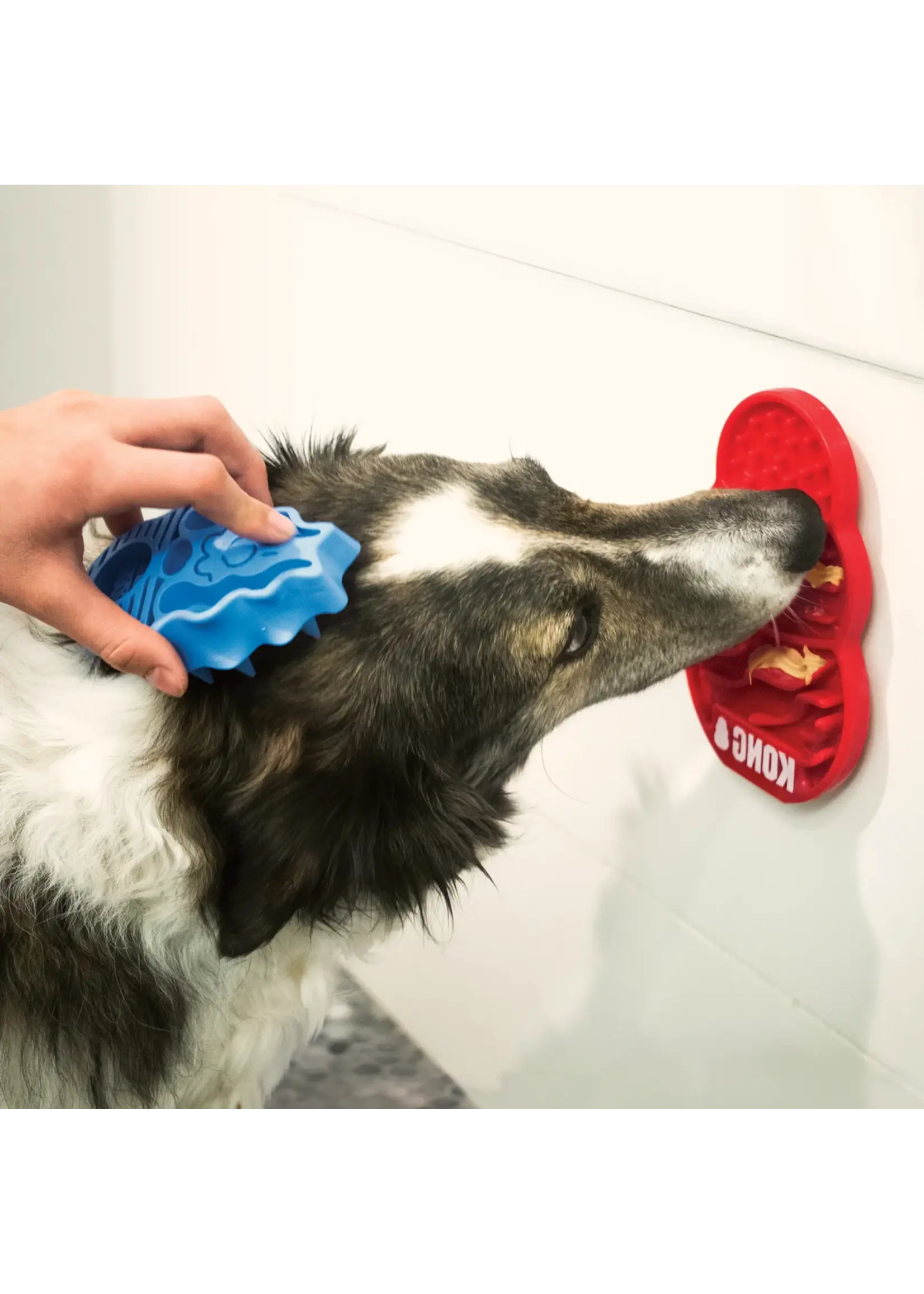 KONG KONG LICKS JOUET A LECHER