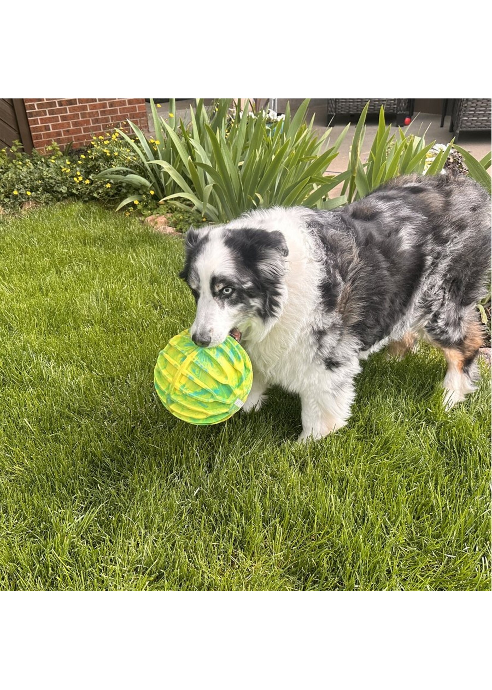 KONG KONG FLEXBALL BALLE DE SPORT XL