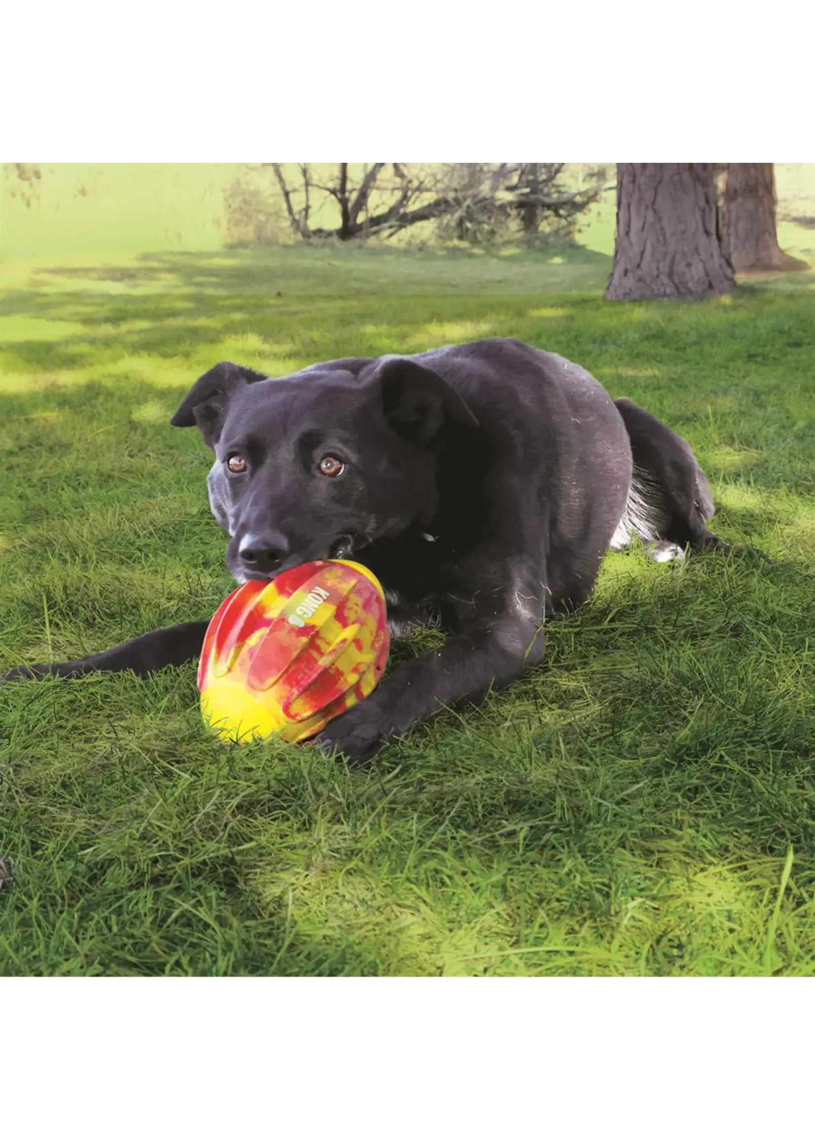 KONG KONG FLEXBALL BALLE DE SPORT FOOTBALL M