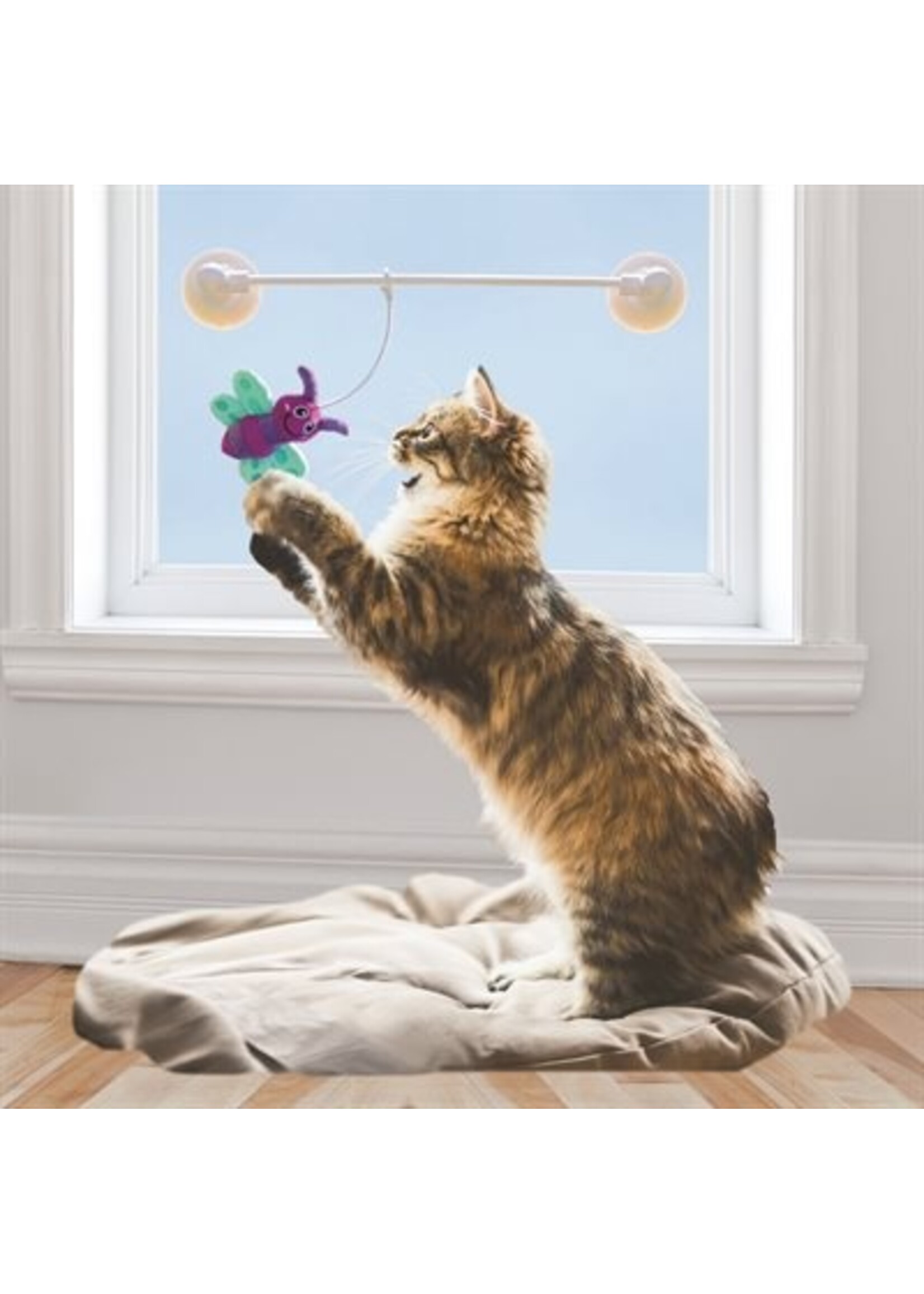 KONG KONG  POUR CHAT JOUET CONNECTS LUCIOLE