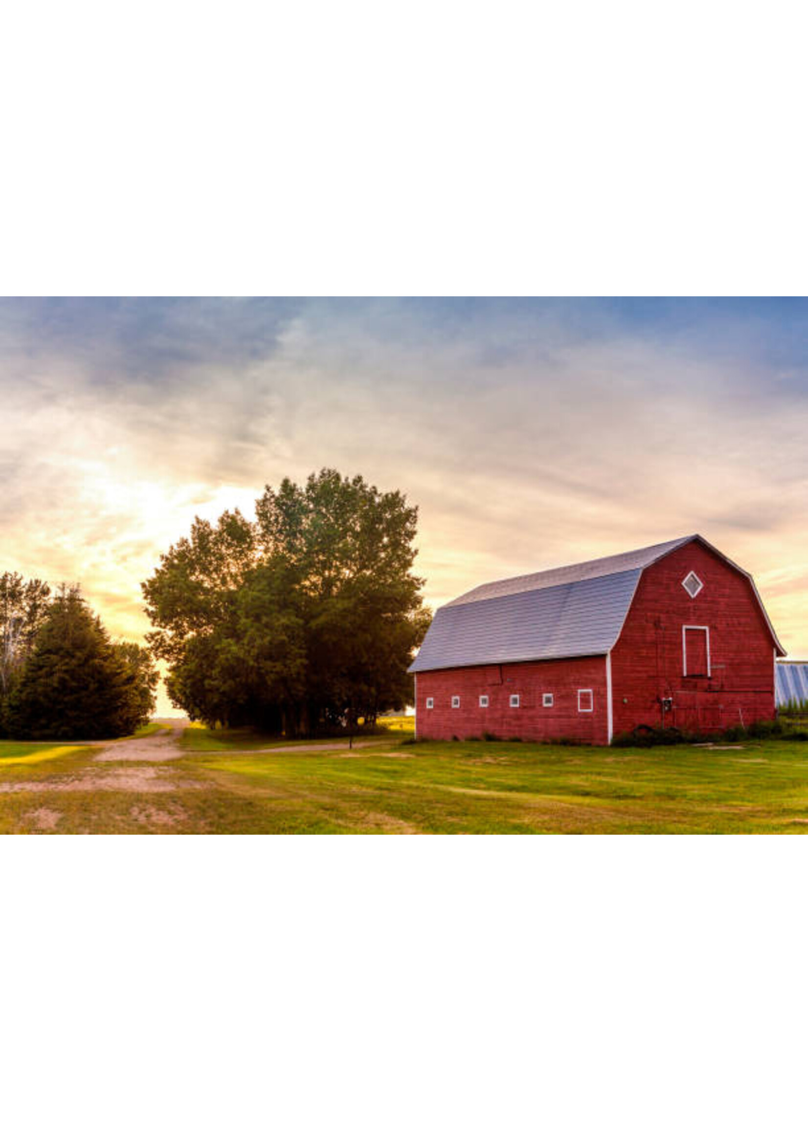 SILVALURE KIT COMPLET 500M