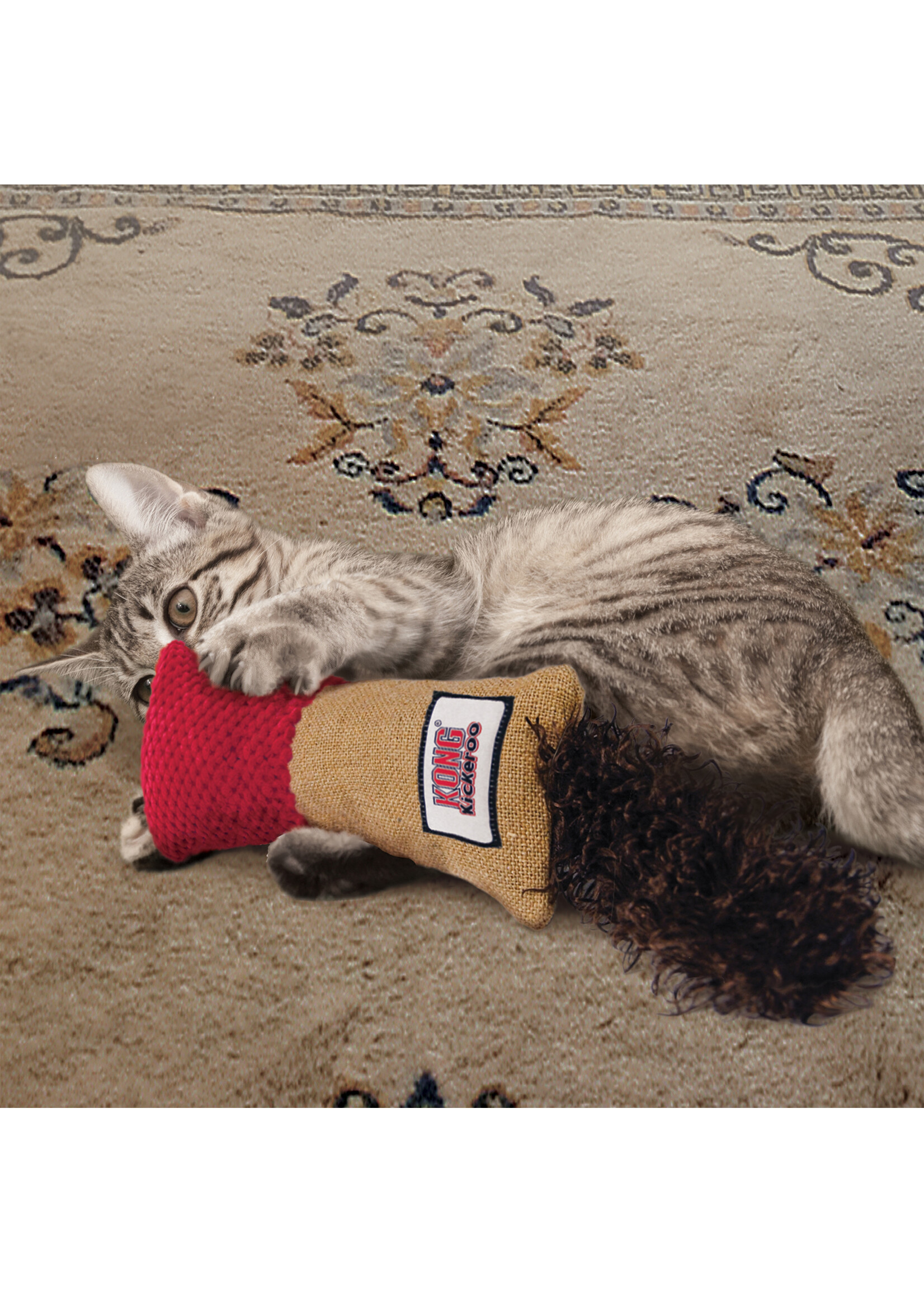 KONG KONG POUR CHAT KICKEROO