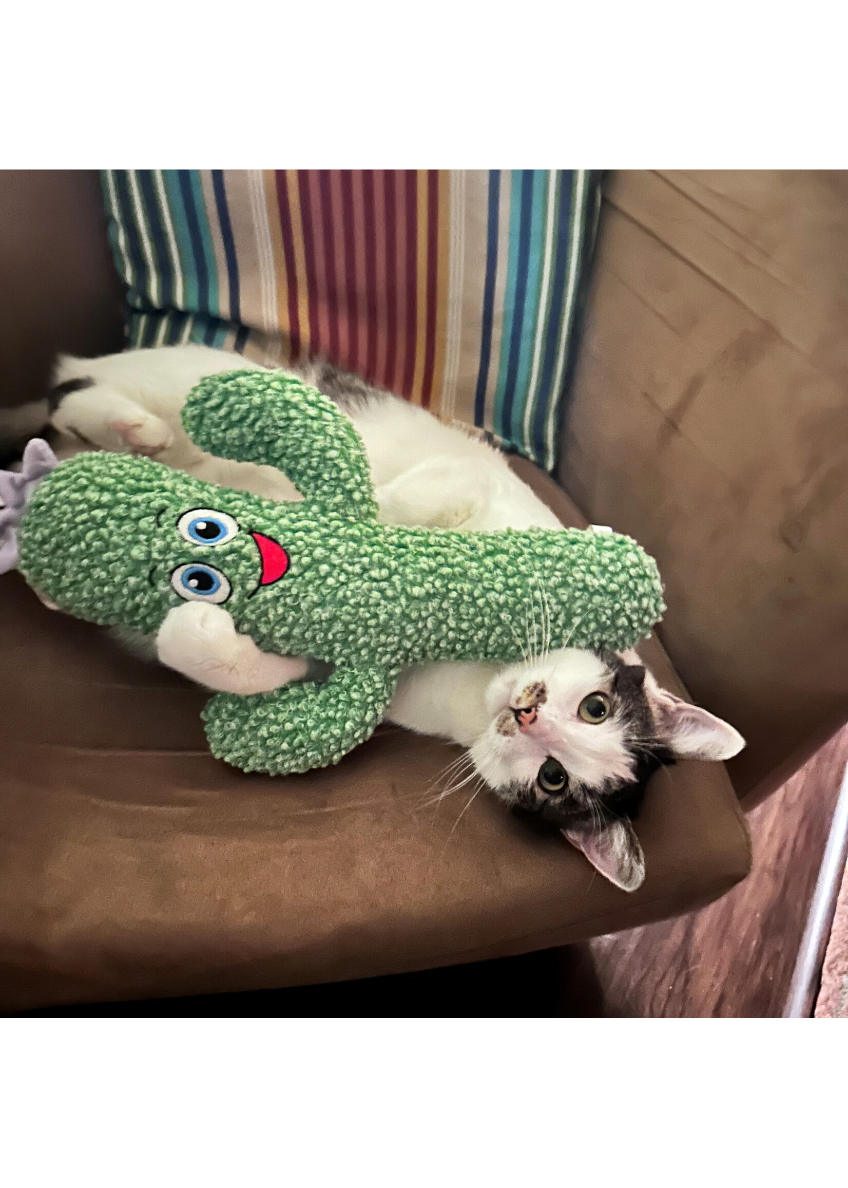 KONG KONG KICKEROO CACTUS POUR CHAT