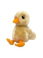 KONG KONG TOUGHZ CANARD MOYEN