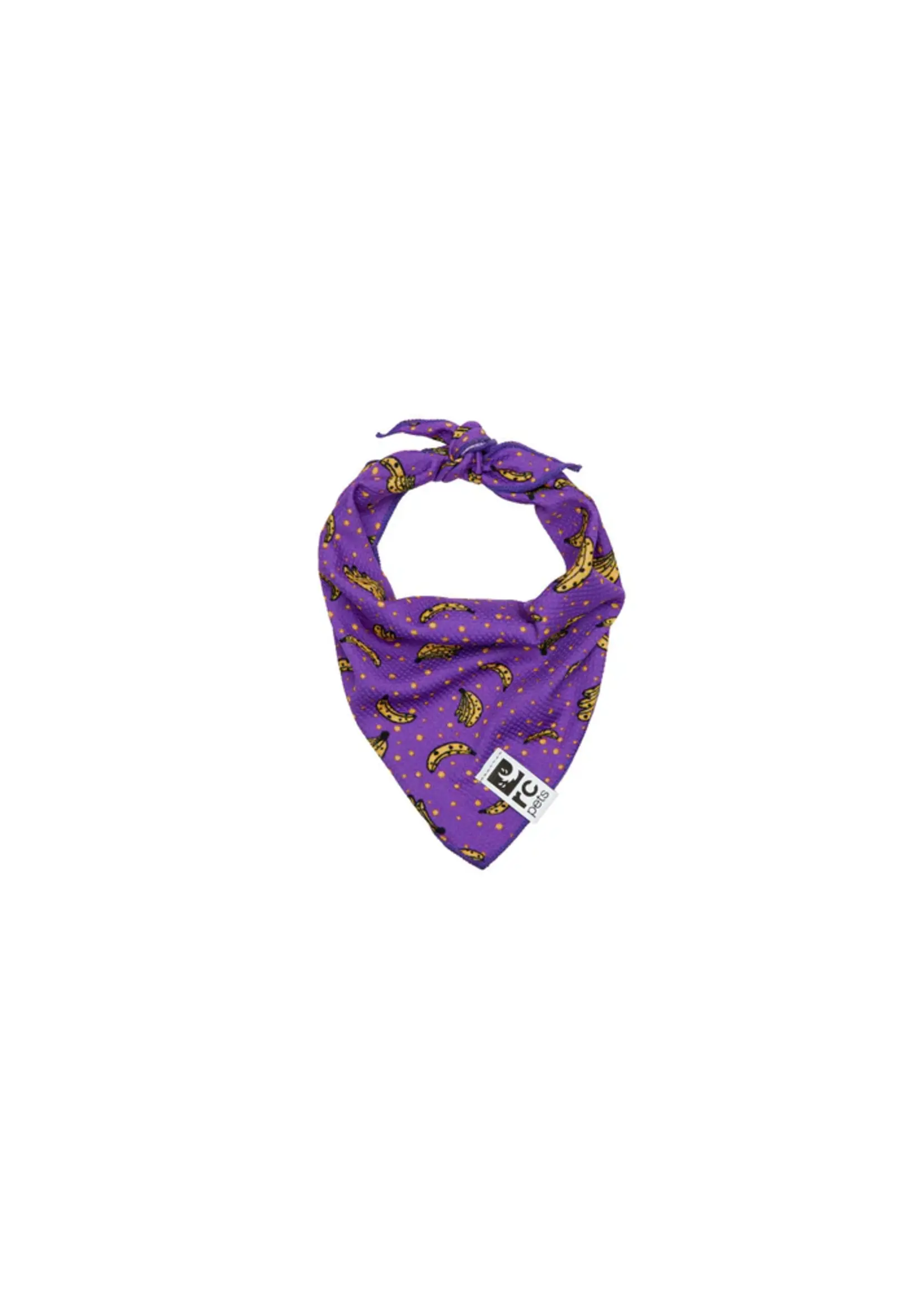 RC PETS BANDANA
