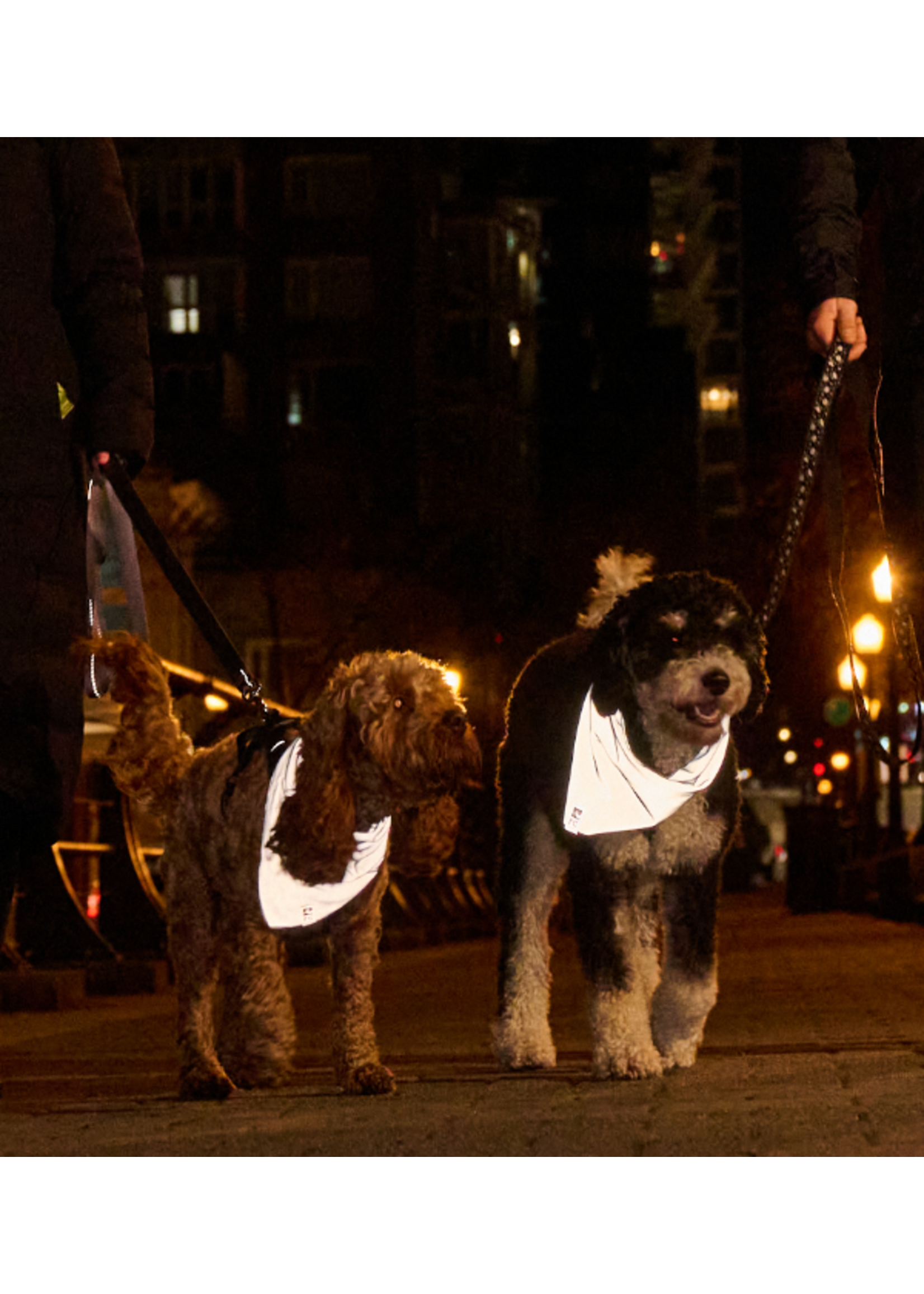 RC PETS RC PETS BANDANA RÉLÉCHISSANT PETIT/MEDIUM ARGENT