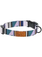 RC PETS COLLIER ECO