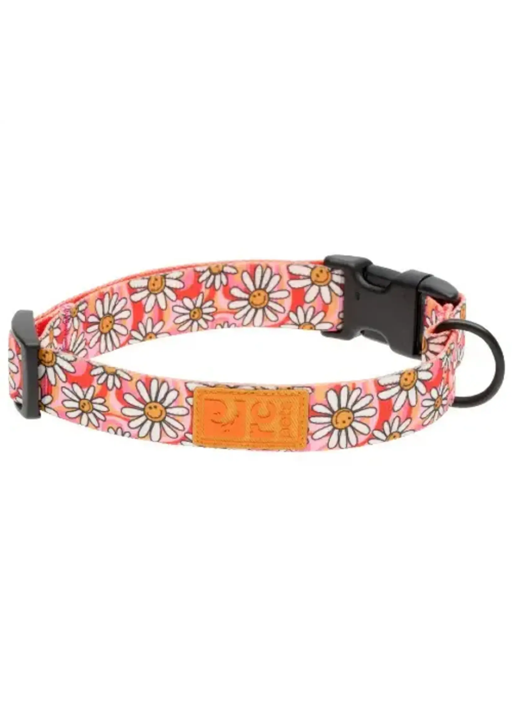 RC PETS COLLIER ECO