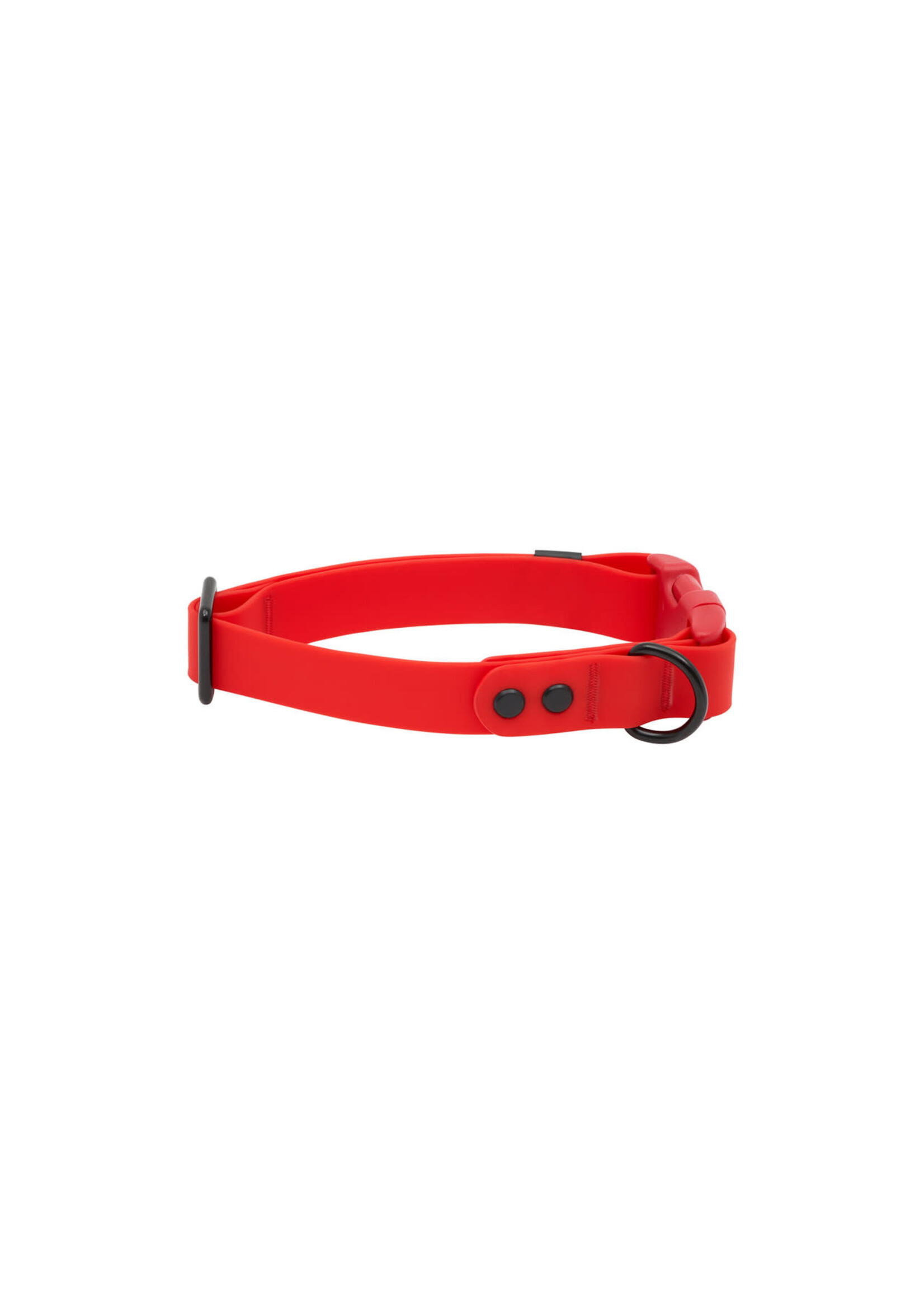 RC PETS COLLIER WATERPROOF