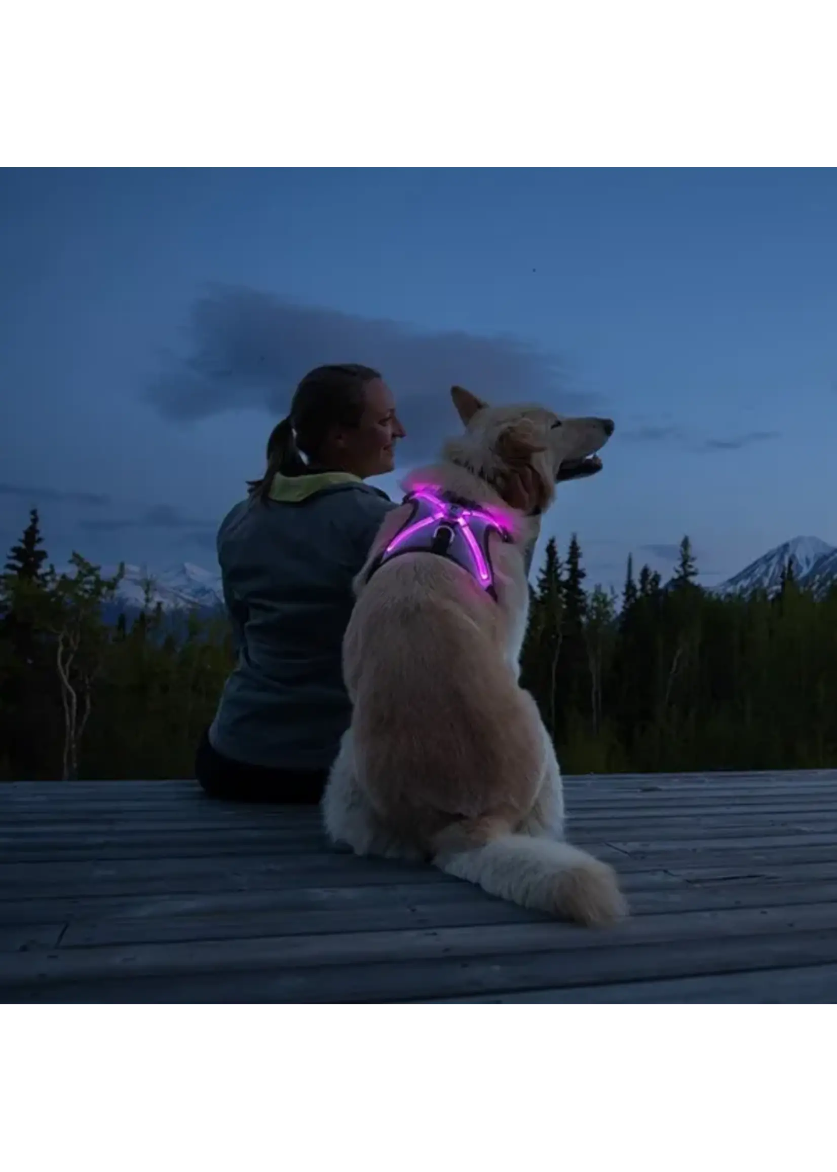 RC PETS HARNAIS LUMIERE LED NOVA  PETIT