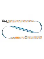 RC PETS RC PETS LAISSE ECO